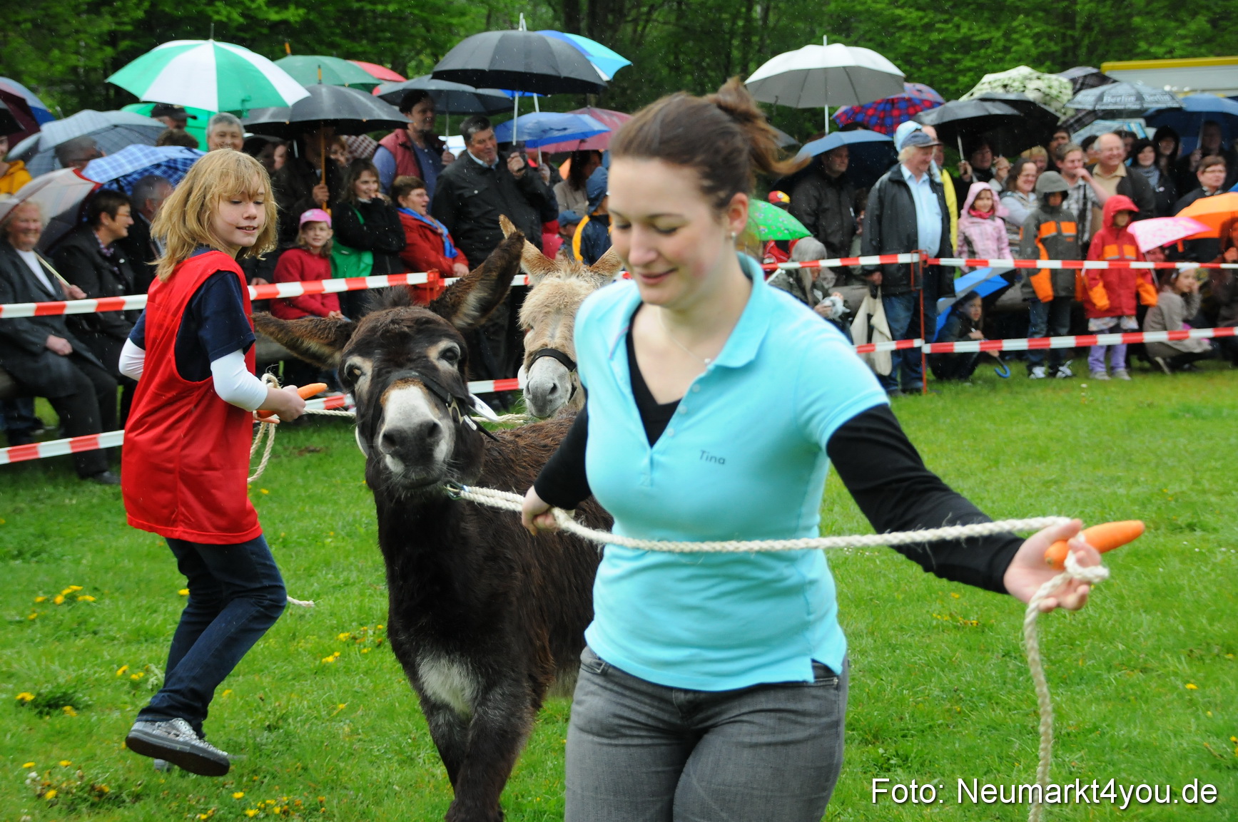 Eselrennen Neumarkt 020510 0011