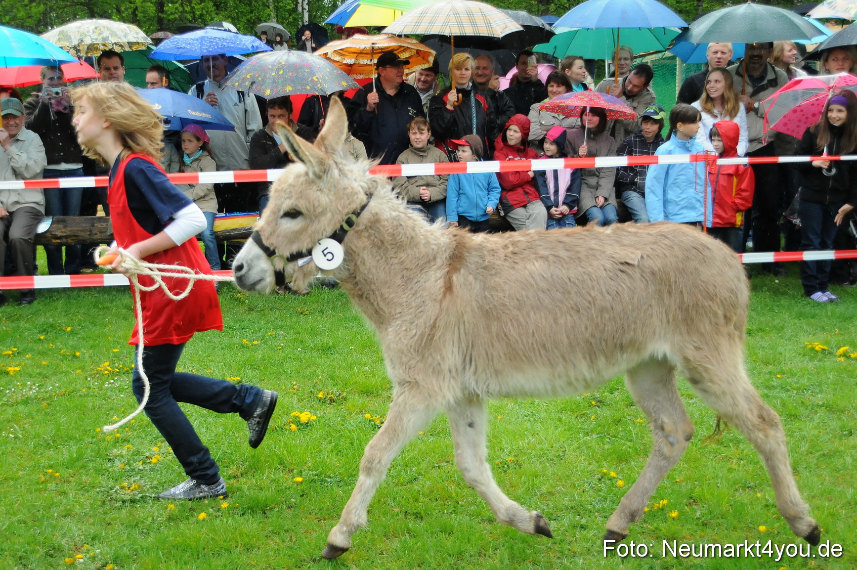 Eselrennen Neumarkt 020510 0012