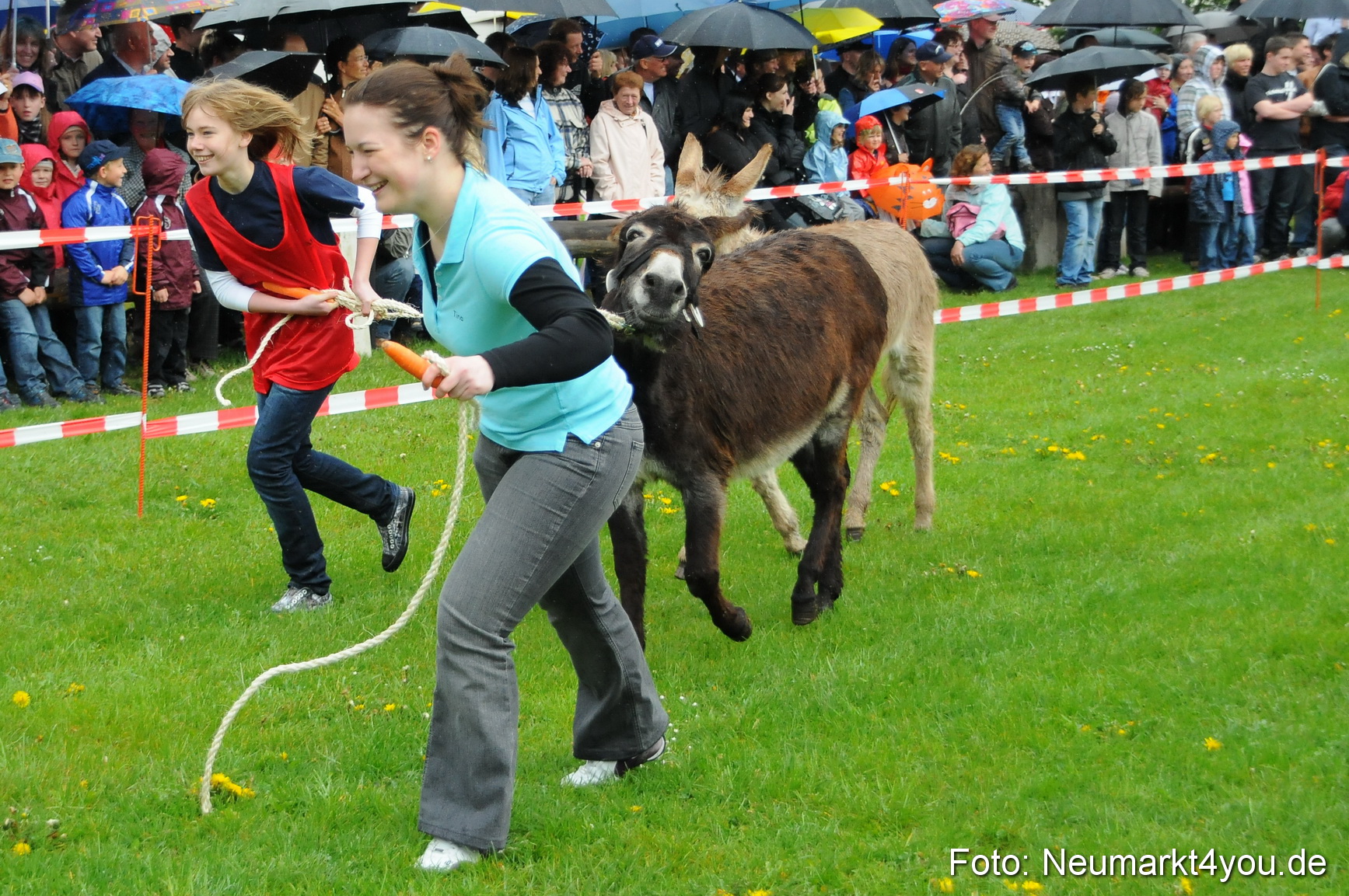 Eselrennen Neumarkt 020510 0015