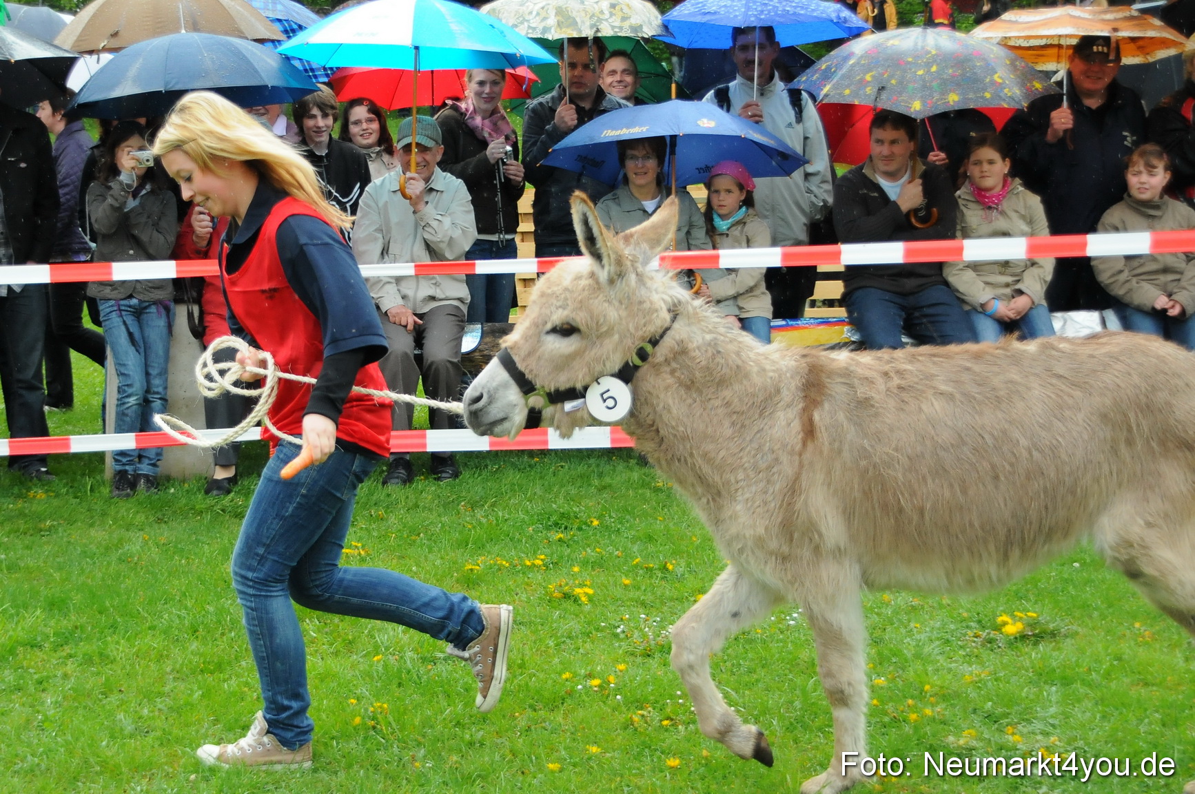 Eselrennen Neumarkt 020510 0016