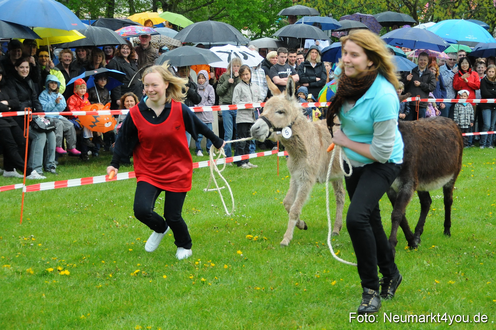 Eselrennen Neumarkt 020510 0020