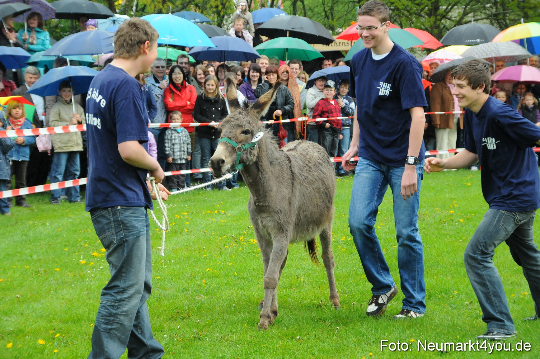 Eselrennen Neumarkt 020510 0024