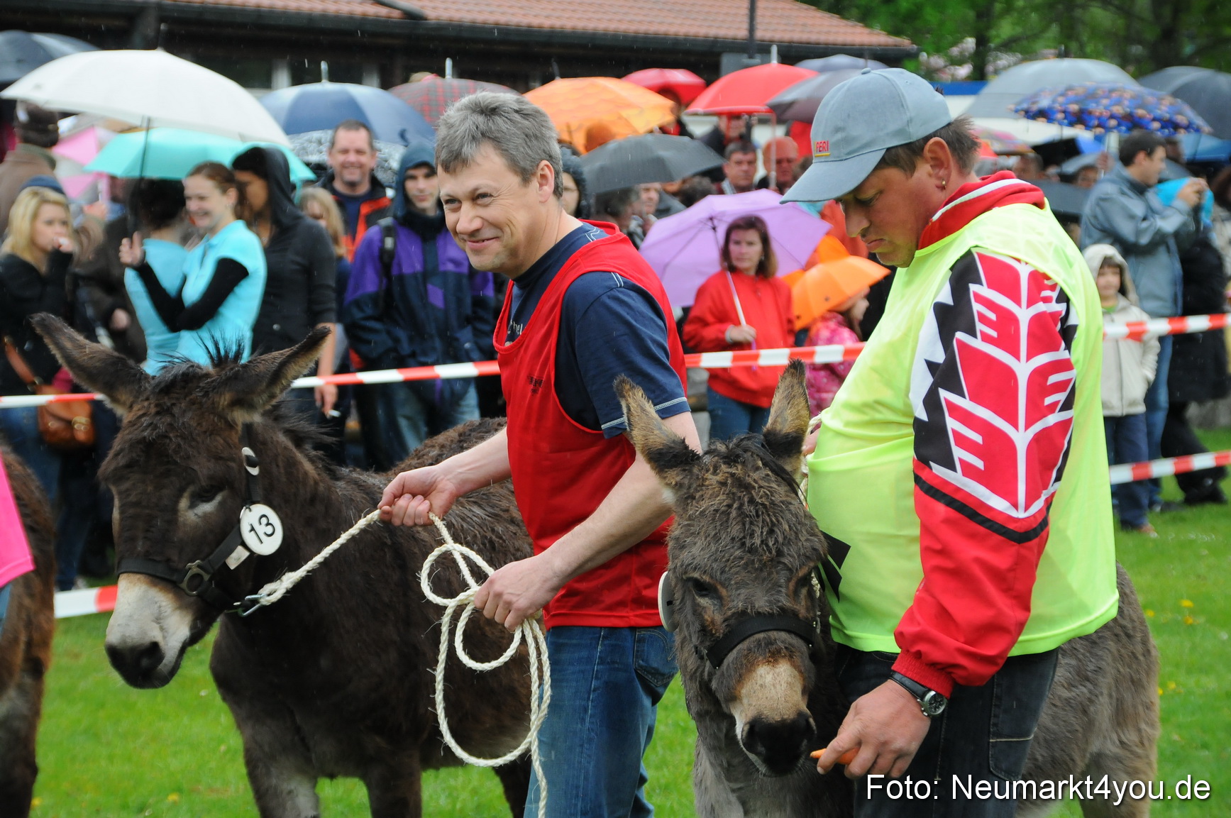 Eselrennen Neumarkt 020510 0027
