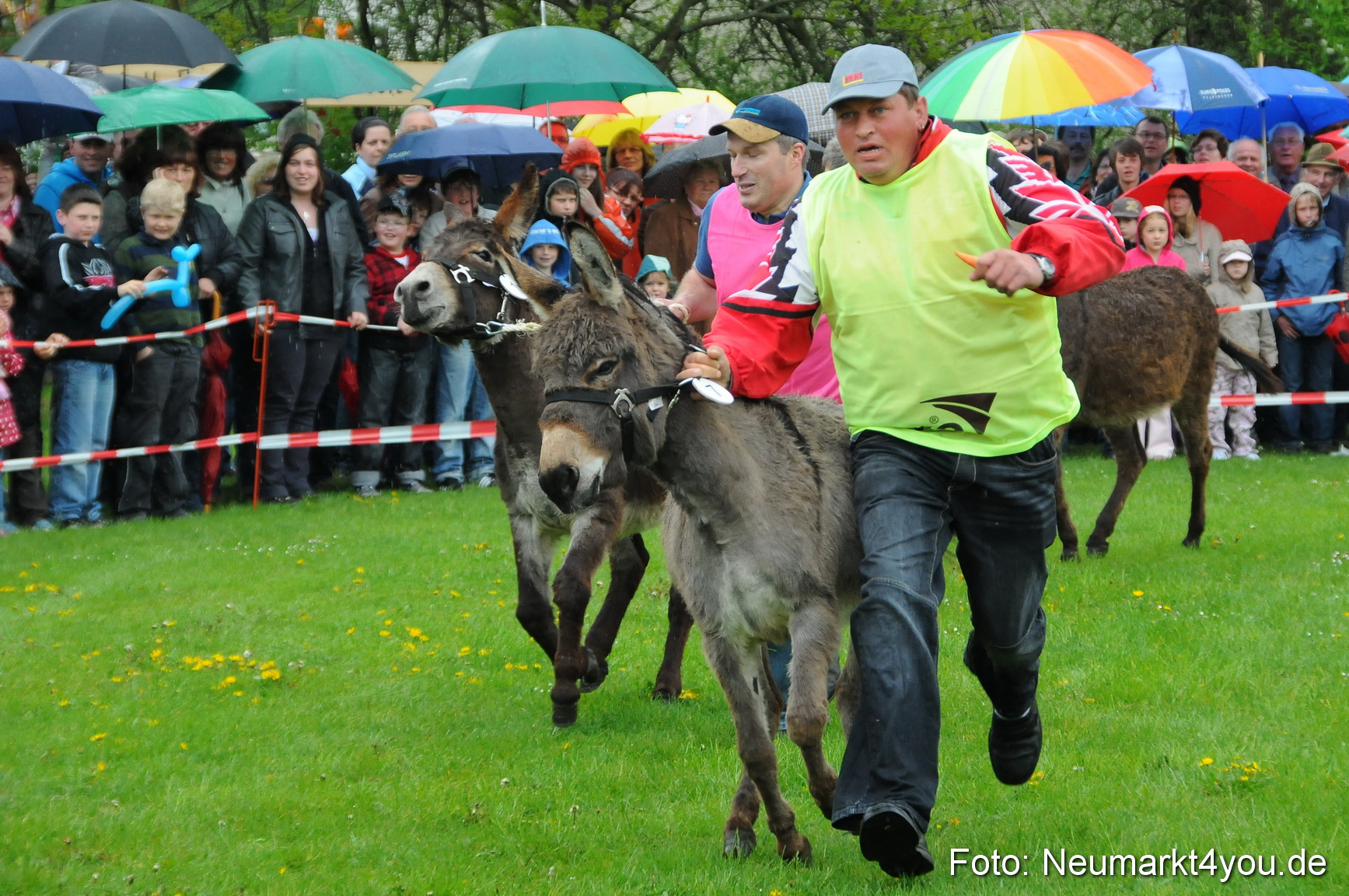 Eselrennen Neumarkt 020510 0030