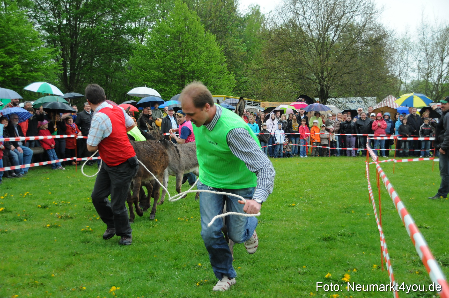 Eselrennen Neumarkt 020510 0033