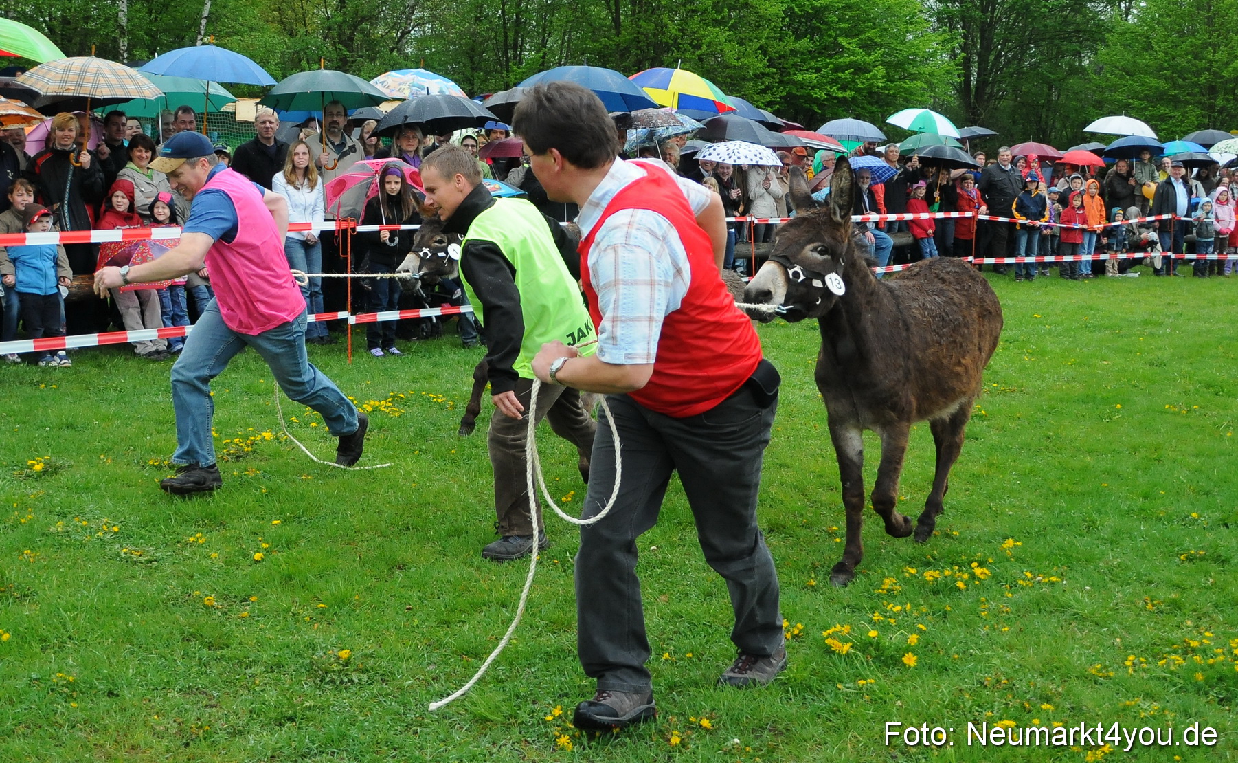 Eselrennen Neumarkt 020510 0034