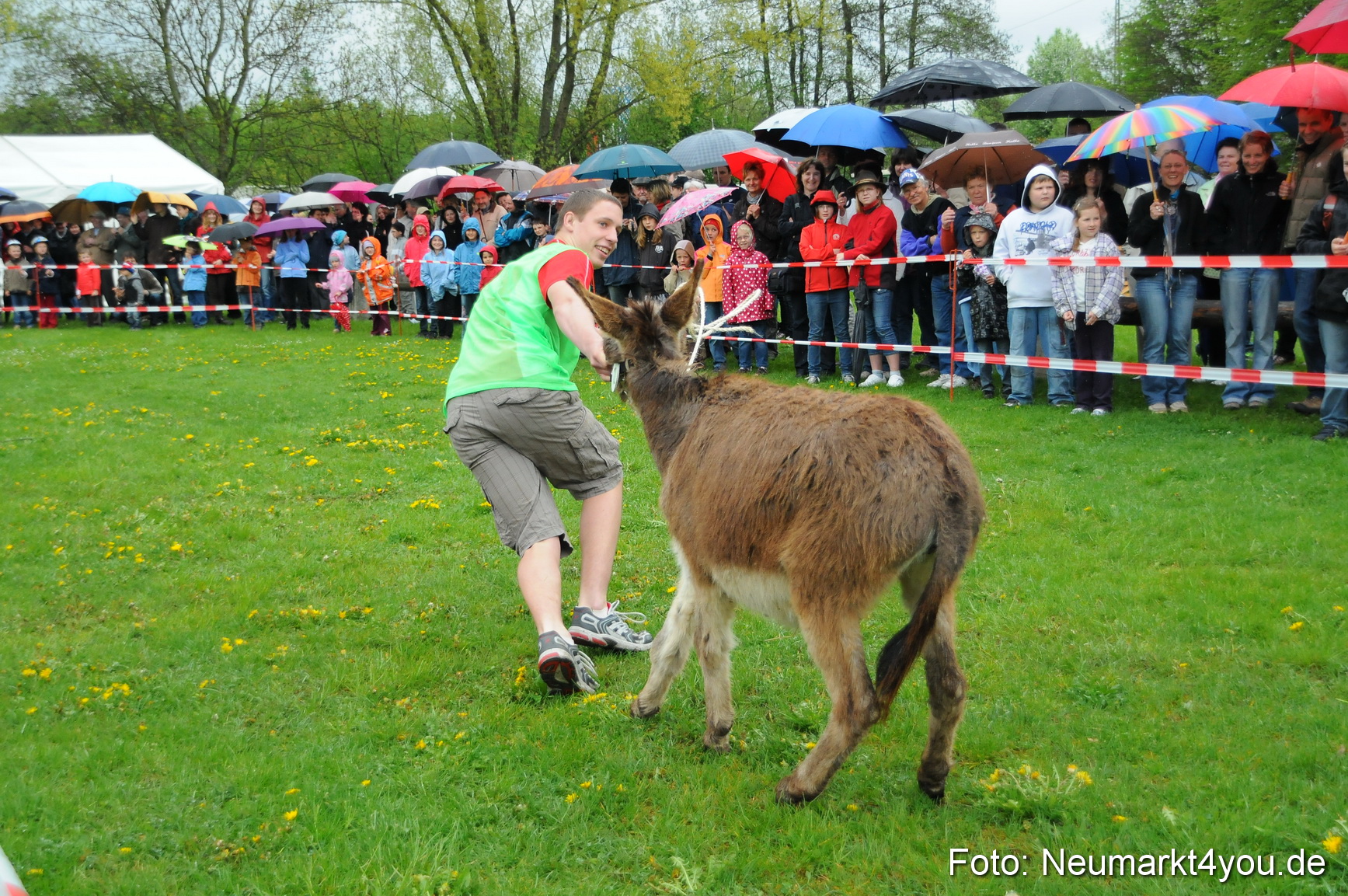 Eselrennen Neumarkt 020510 0041