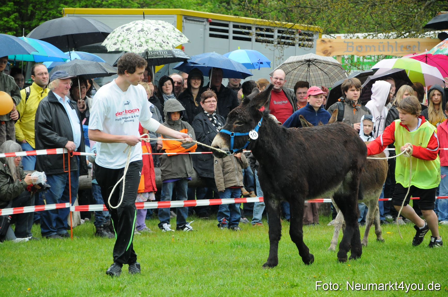 Eselrennen Neumarkt 020510 0043