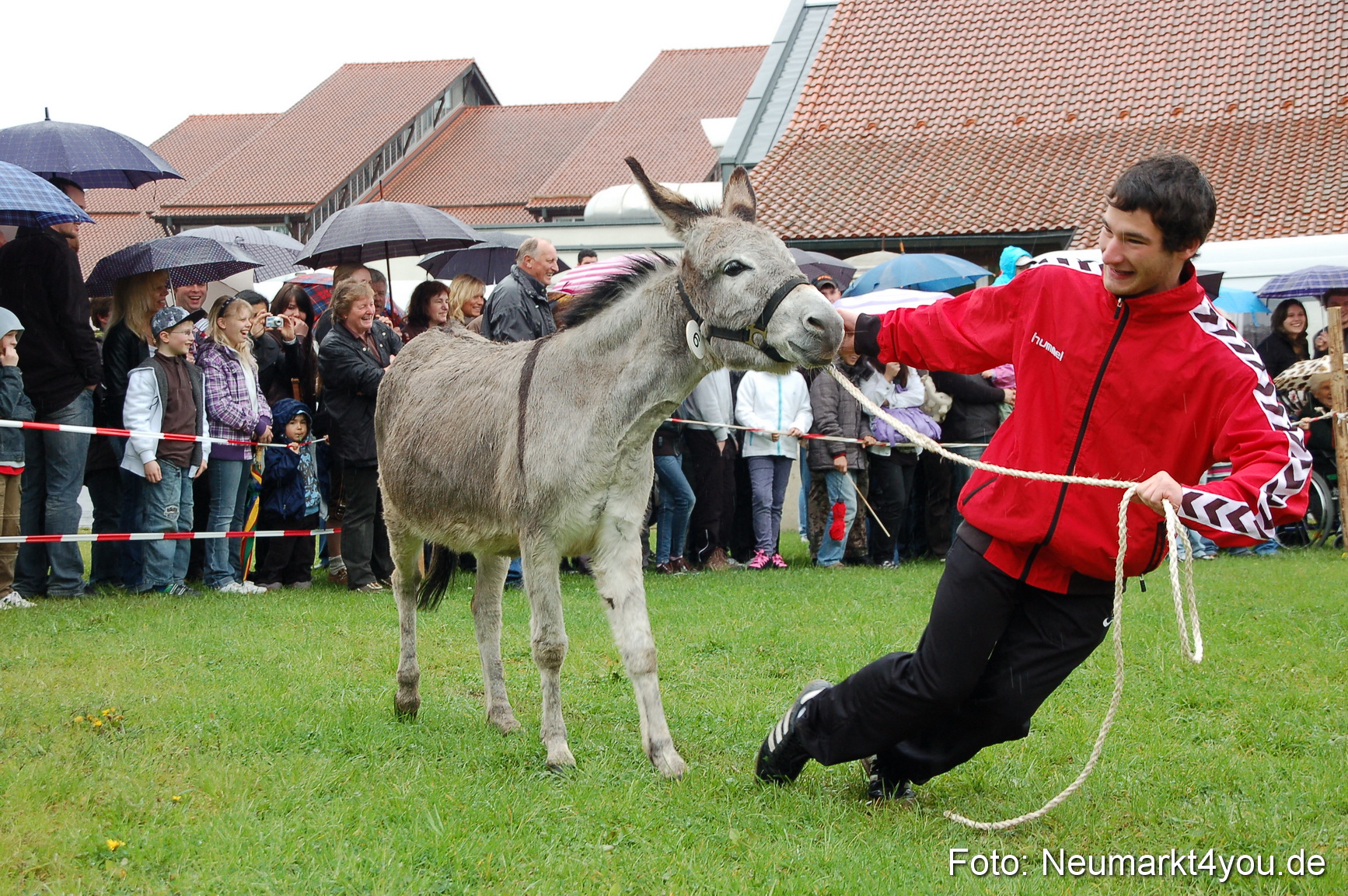 Eselrennen Neumarkt 020510 0049