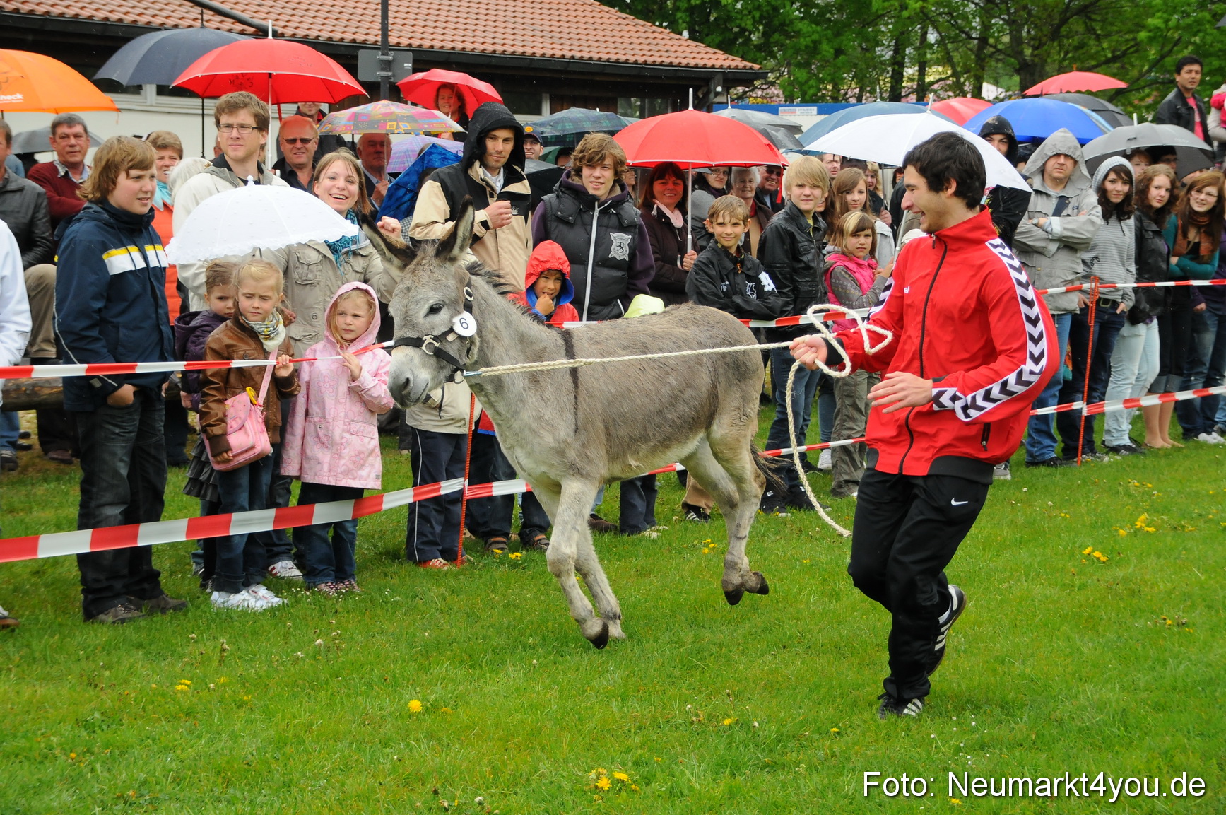 Eselrennen Neumarkt 020510 0052