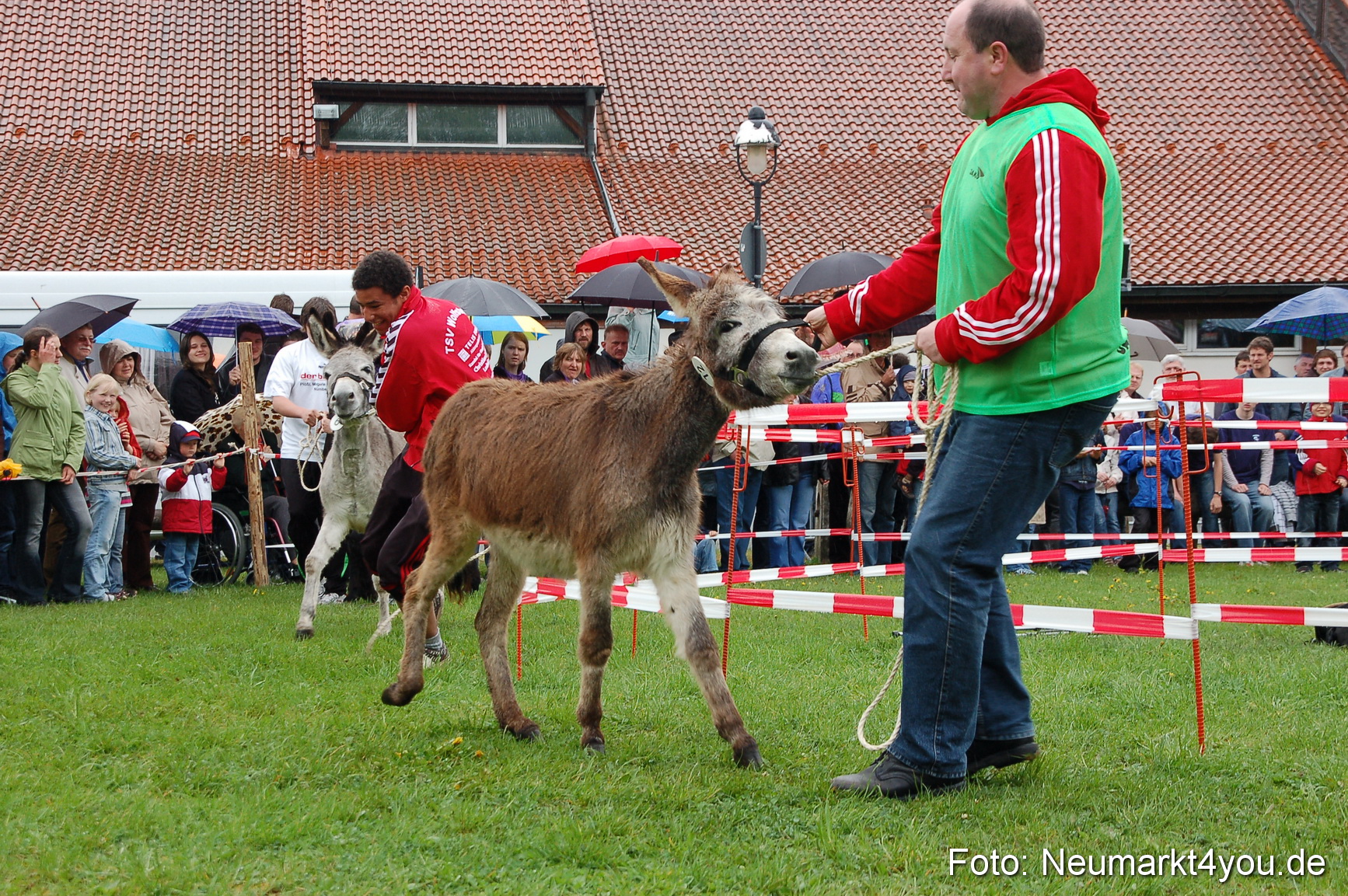 Eselrennen Neumarkt 020510 0053