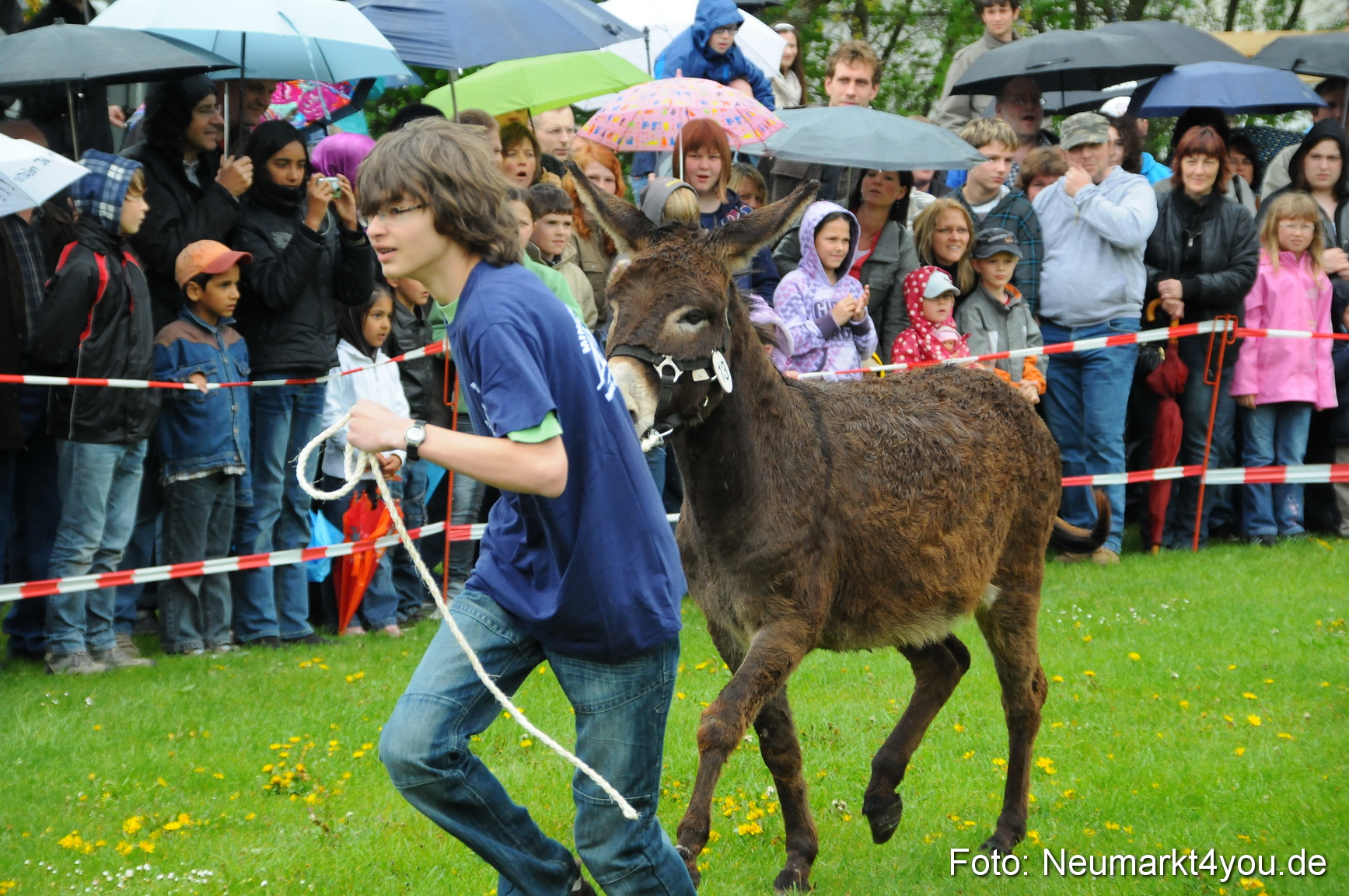 Eselrennen Neumarkt 020510 0067
