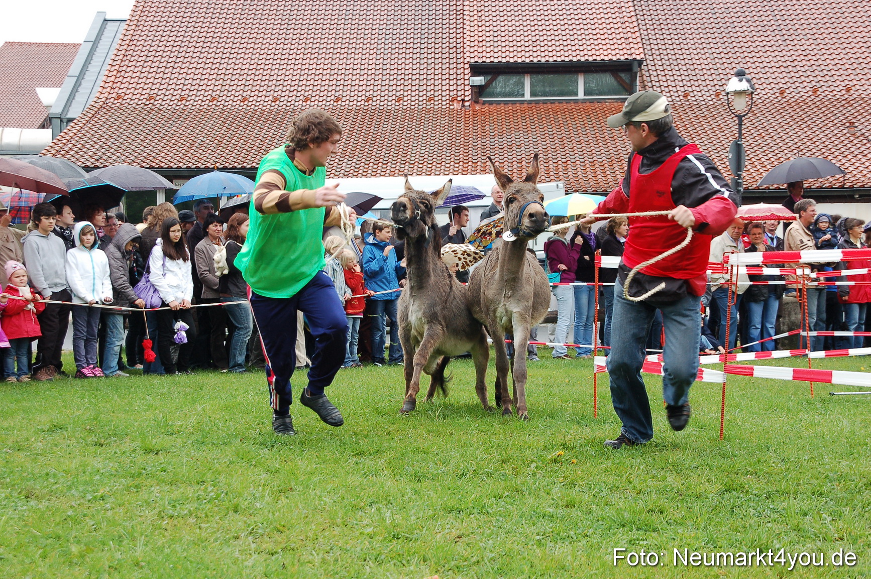 Eselrennen Neumarkt 020510 0069