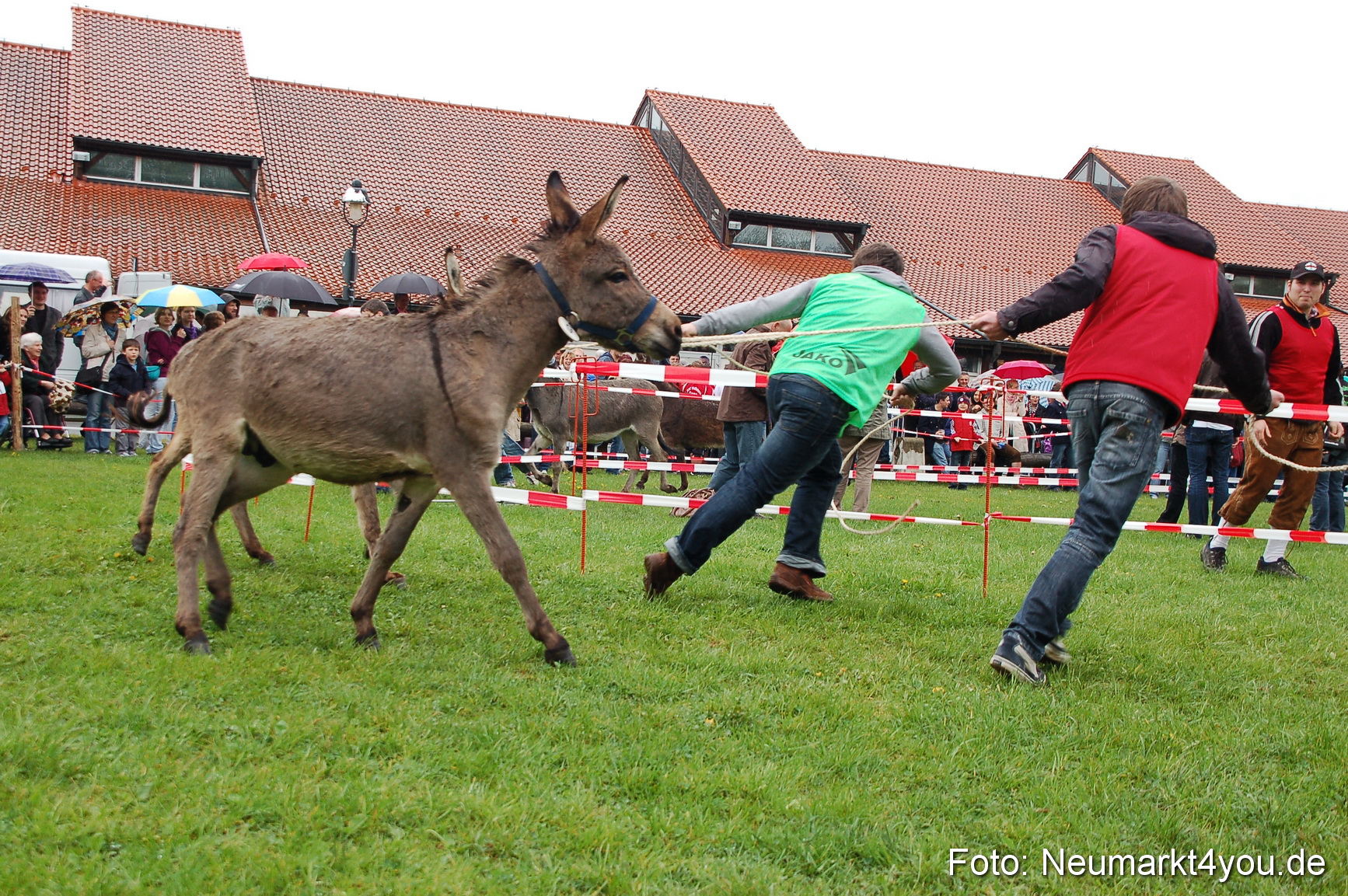 Eselrennen Neumarkt 020510 0073