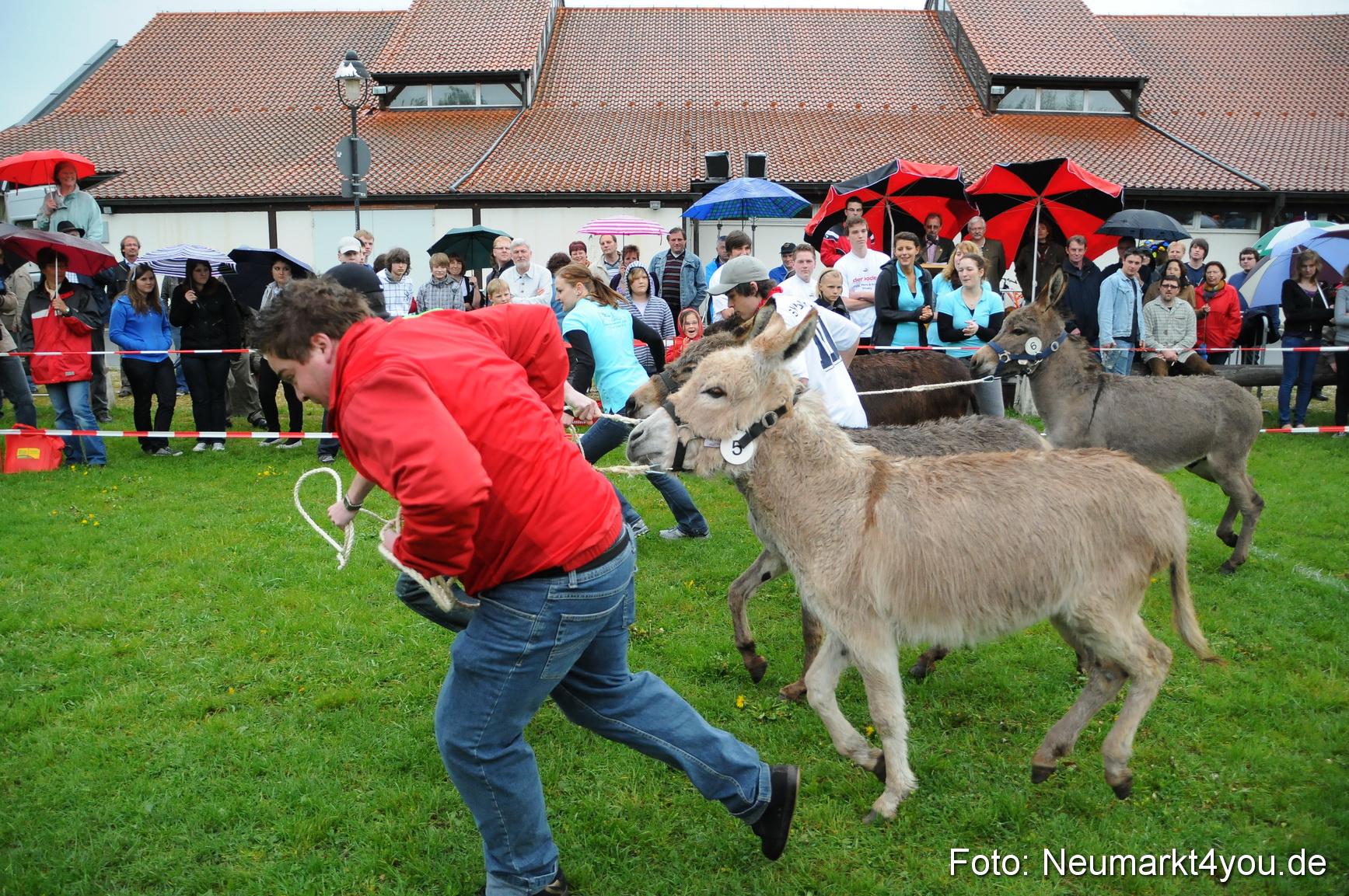 Eselrennen Neumarkt 020510 0082