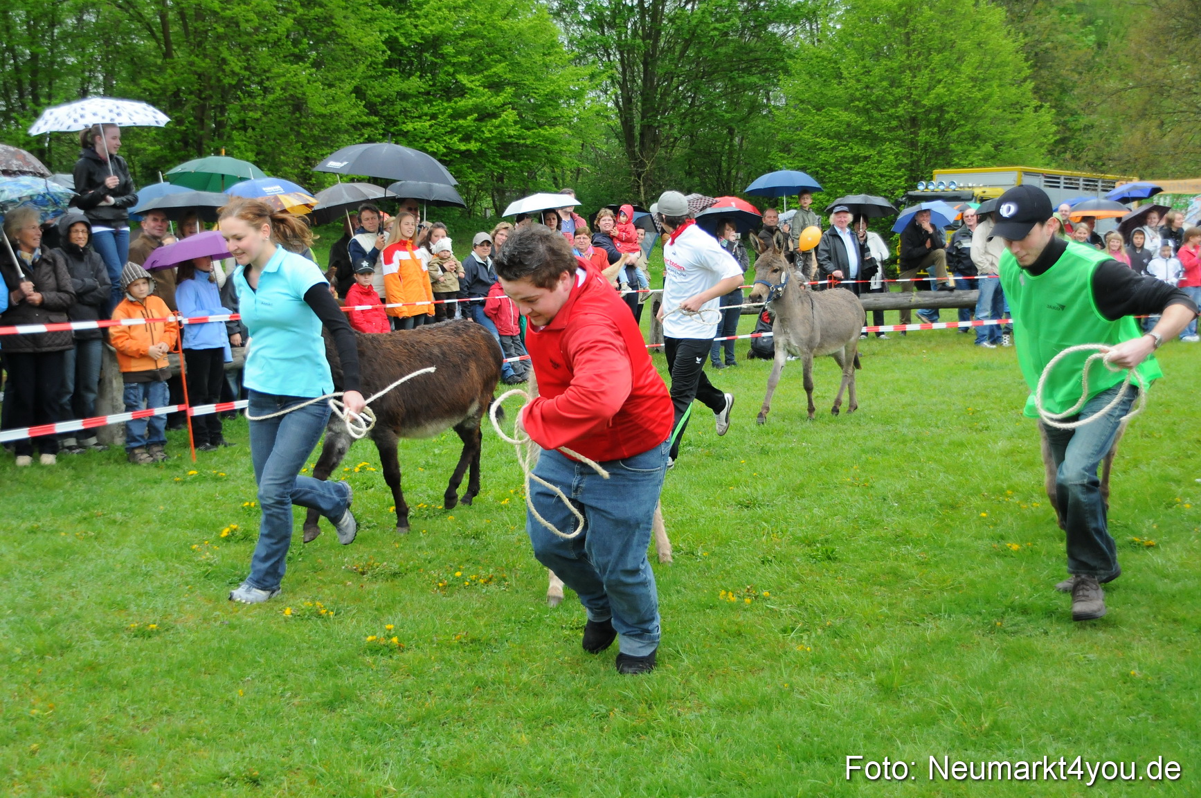 Eselrennen Neumarkt 020510 0083