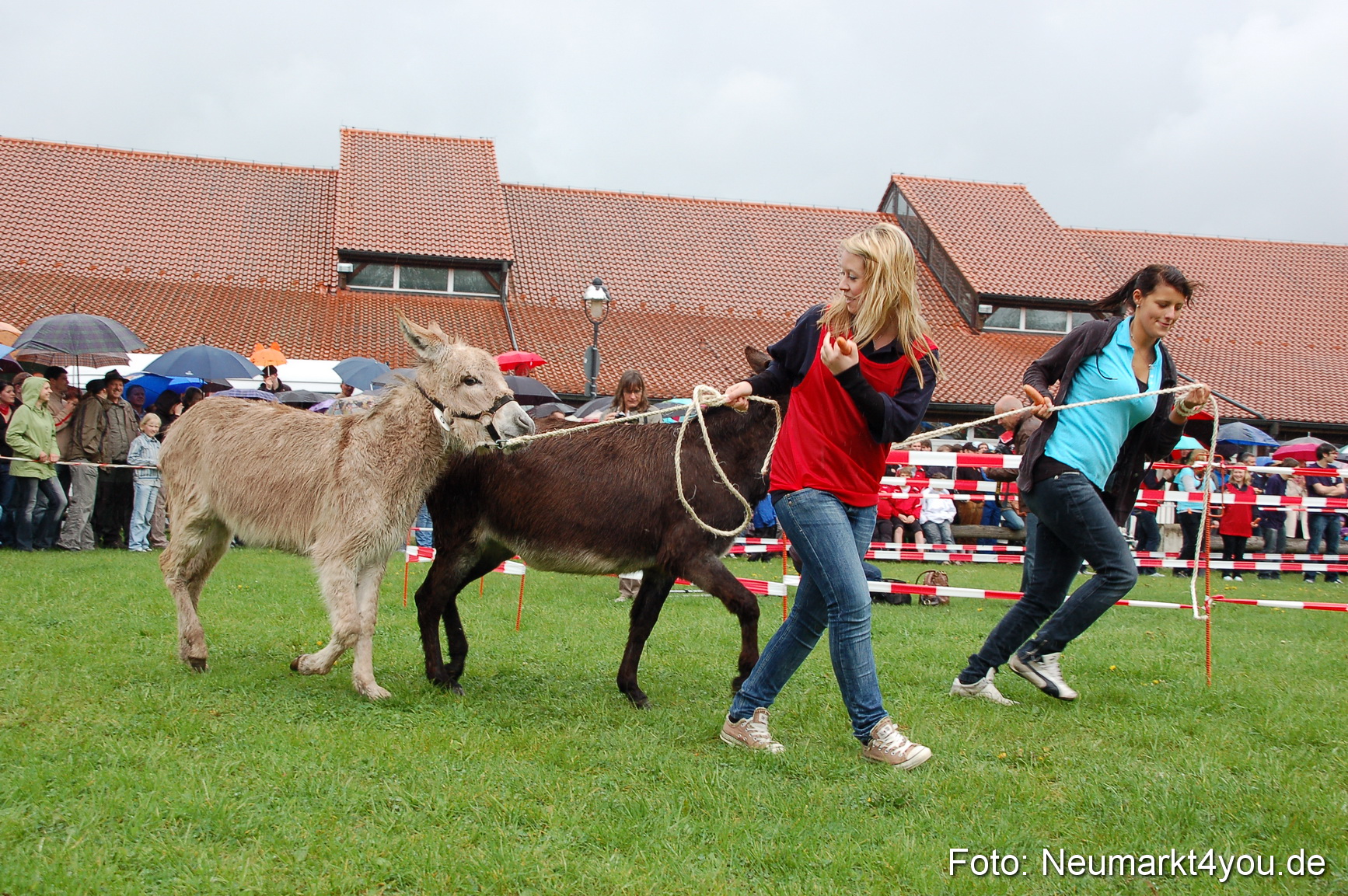 Eselrennen Neumarkt 020510 0092
