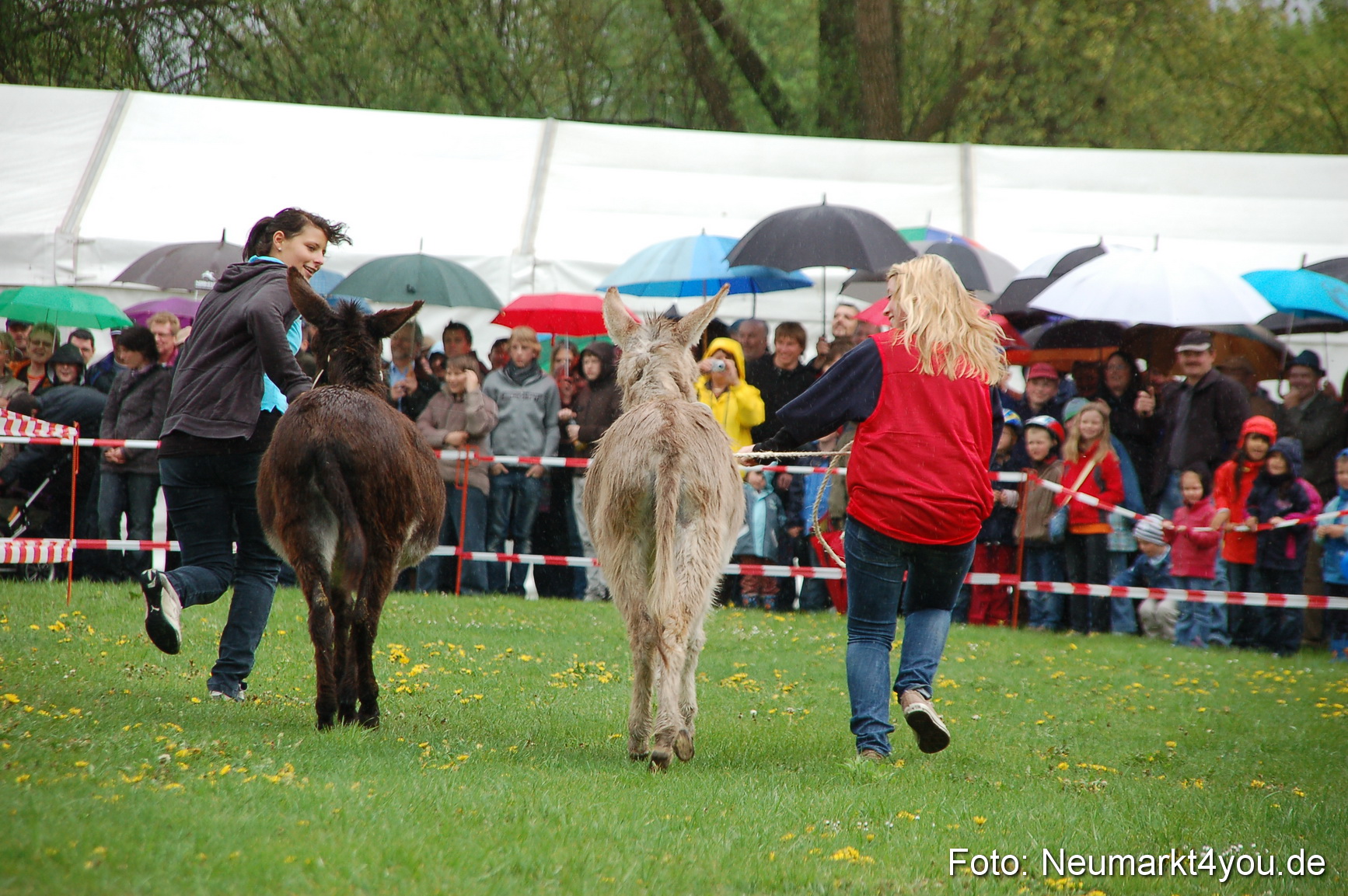 Eselrennen Neumarkt 020510 0093