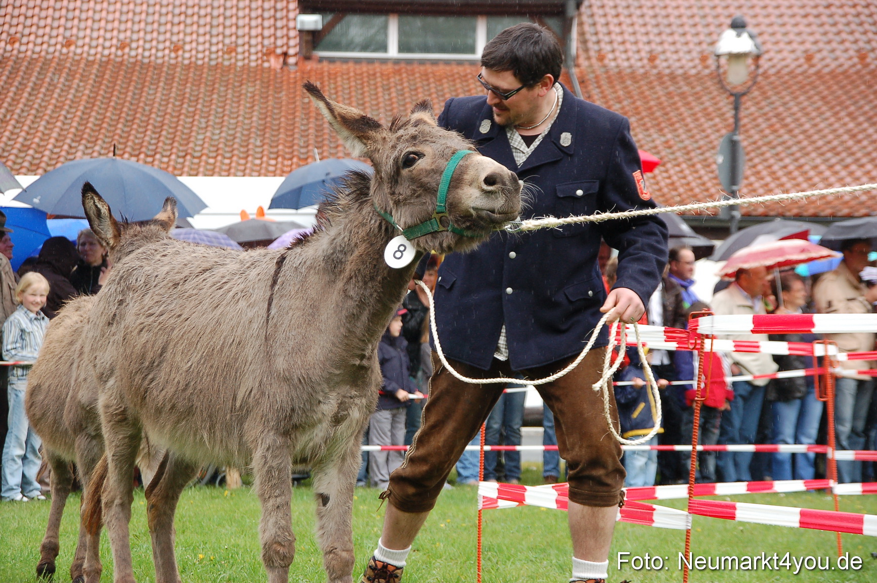 Eselrennen Neumarkt 020510 0094