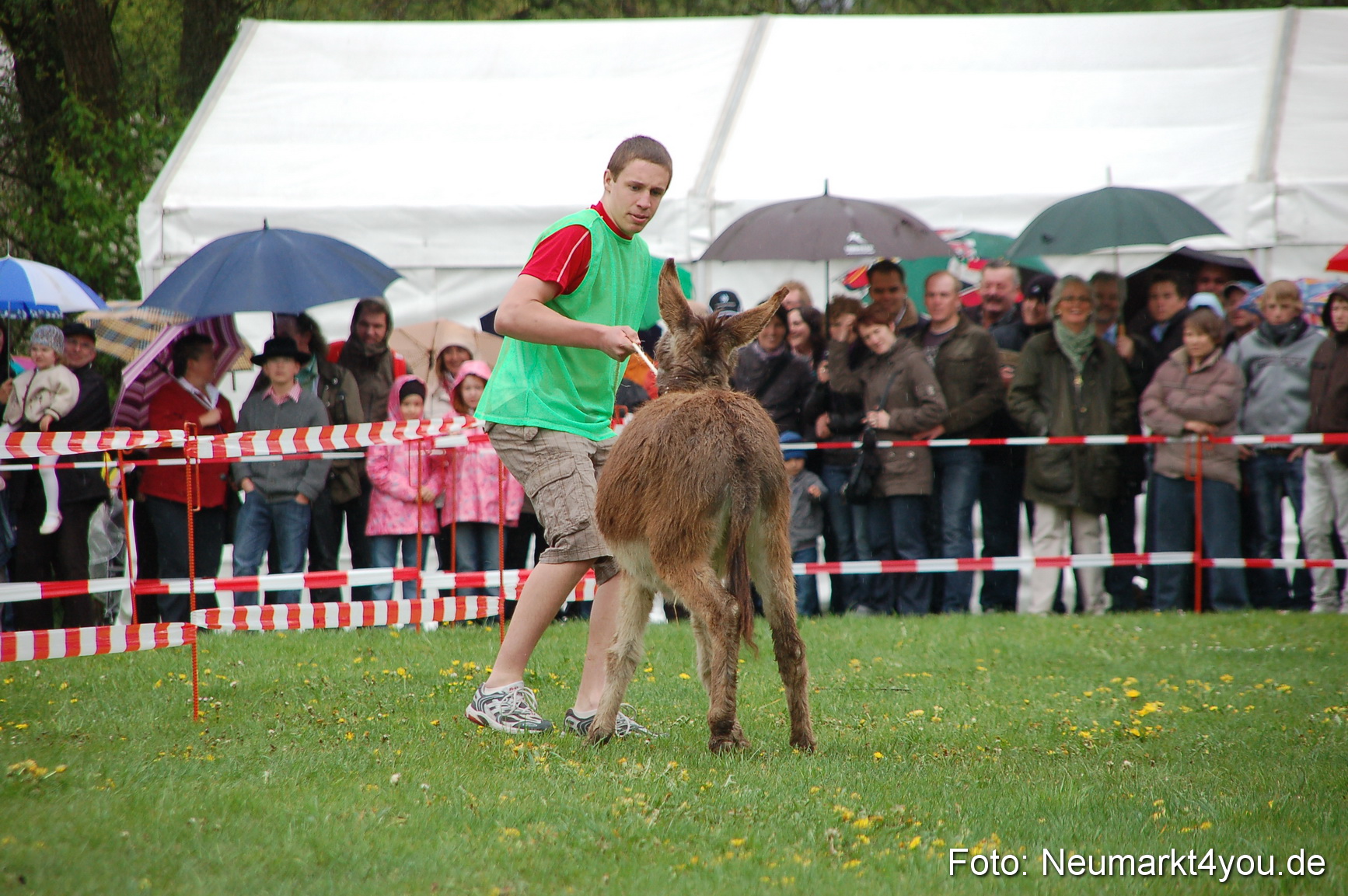 Eselrennen Neumarkt 020510 0104