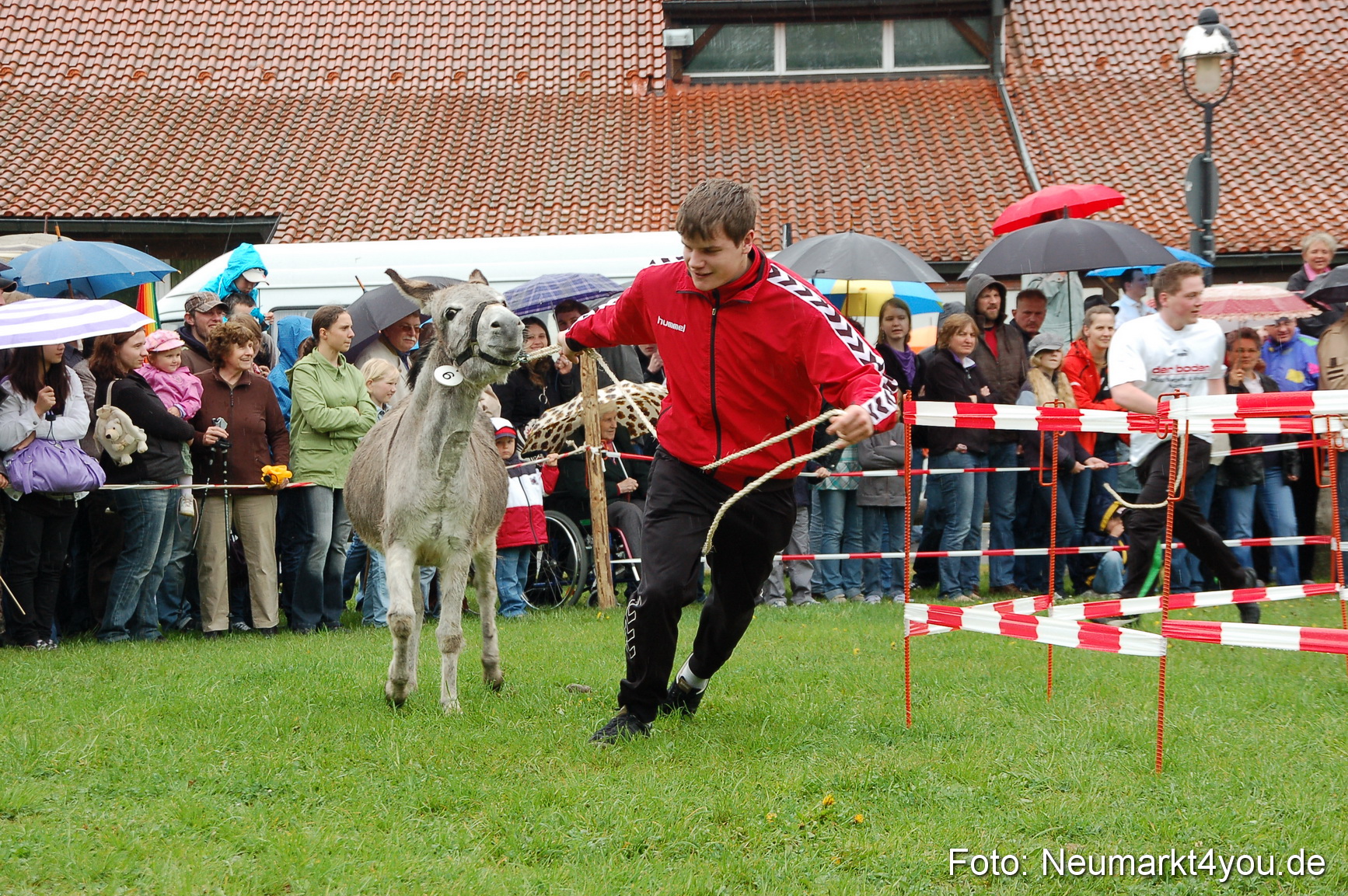 Eselrennen Neumarkt 020510 0105