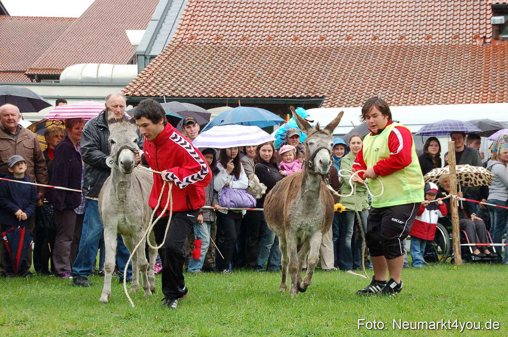 Eselrennen Neumarkt 020510 0109