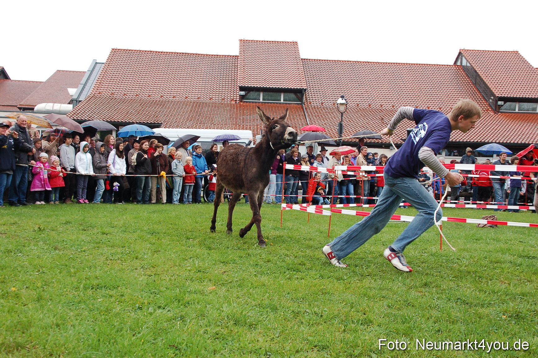 Eselrennen Neumarkt 020510 0110