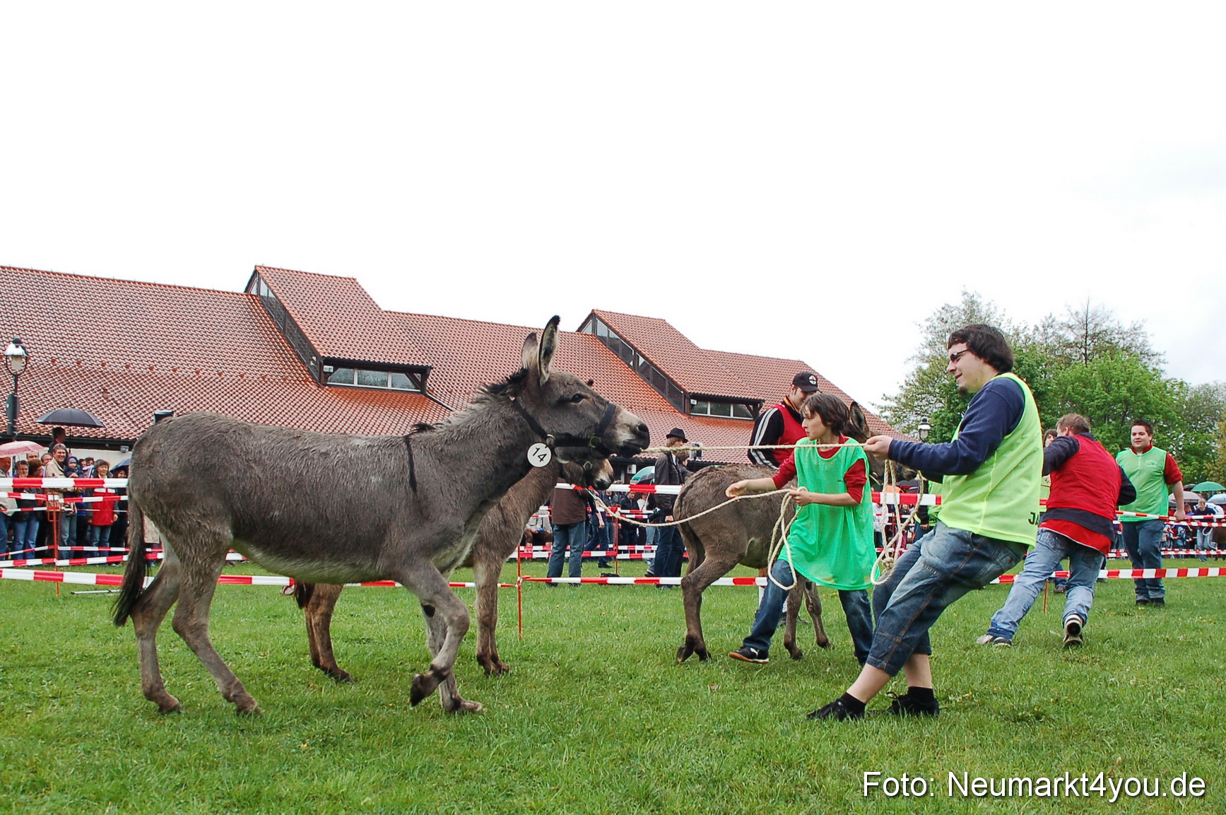 Eselrennen Neumarkt 020510 0112