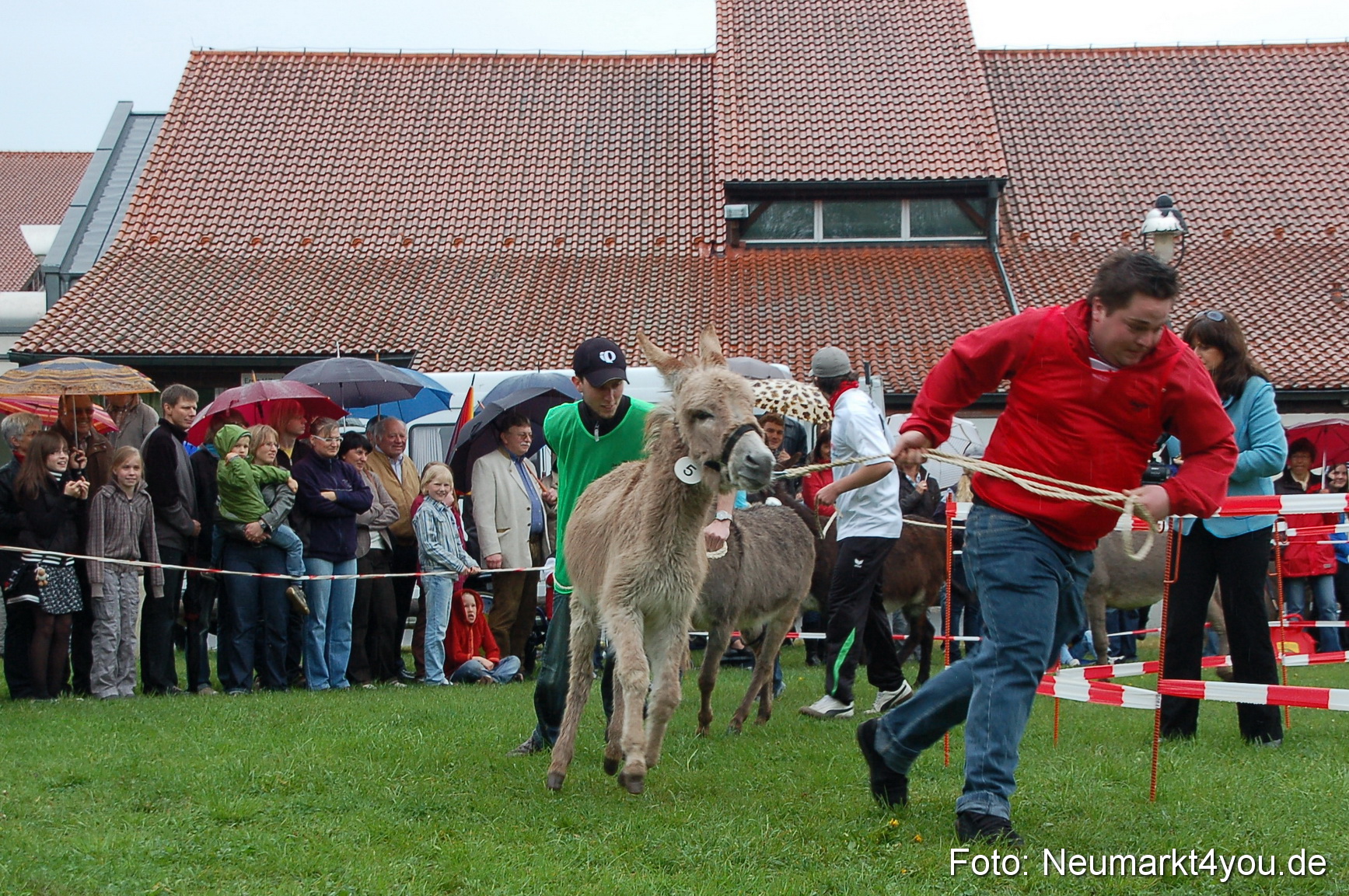 Eselrennen Neumarkt 020510 0113