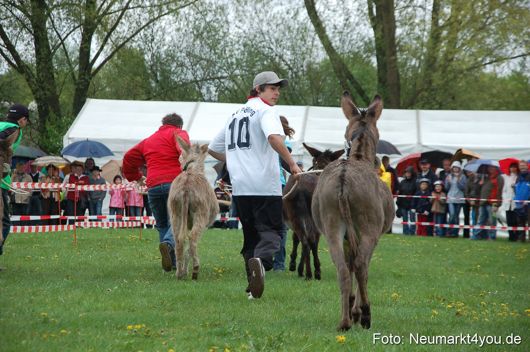 Eselrennen Neumarkt 020510 0115
