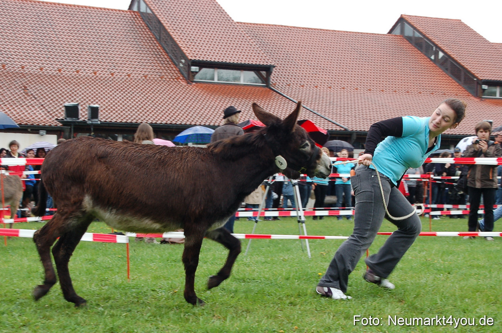 Eselrennen Neumarkt 020510 0117