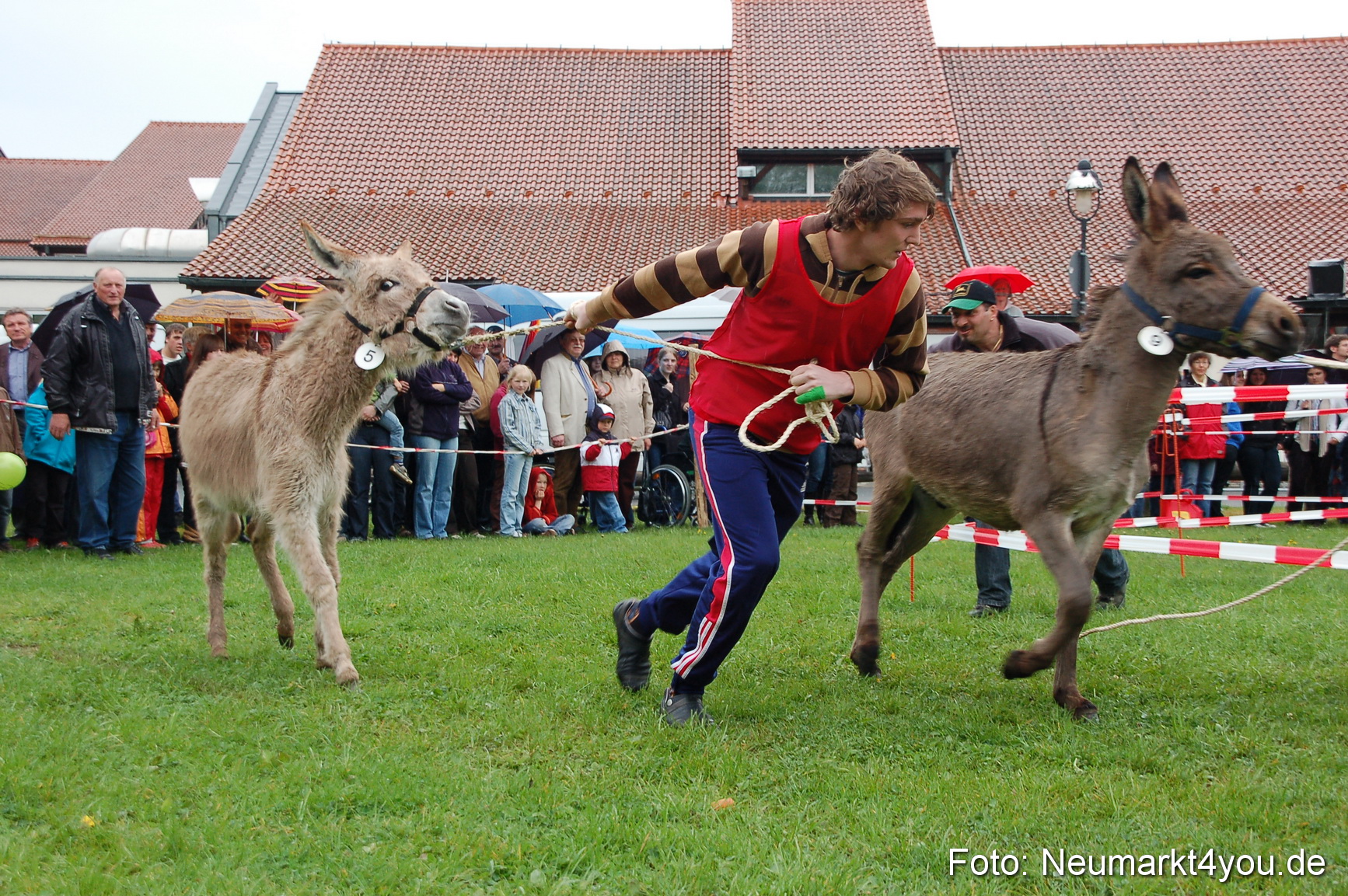 Eselrennen Neumarkt 020510 0119