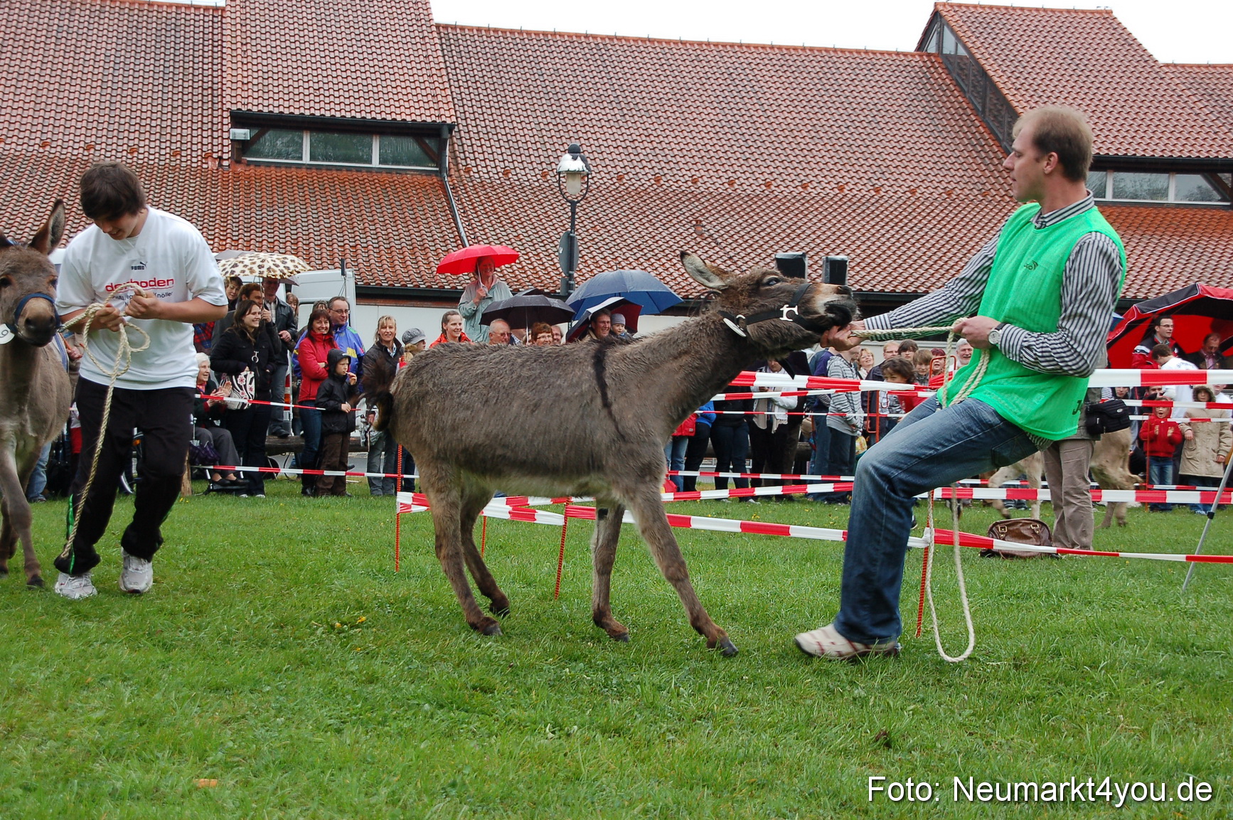 Eselrennen Neumarkt 020510 0122