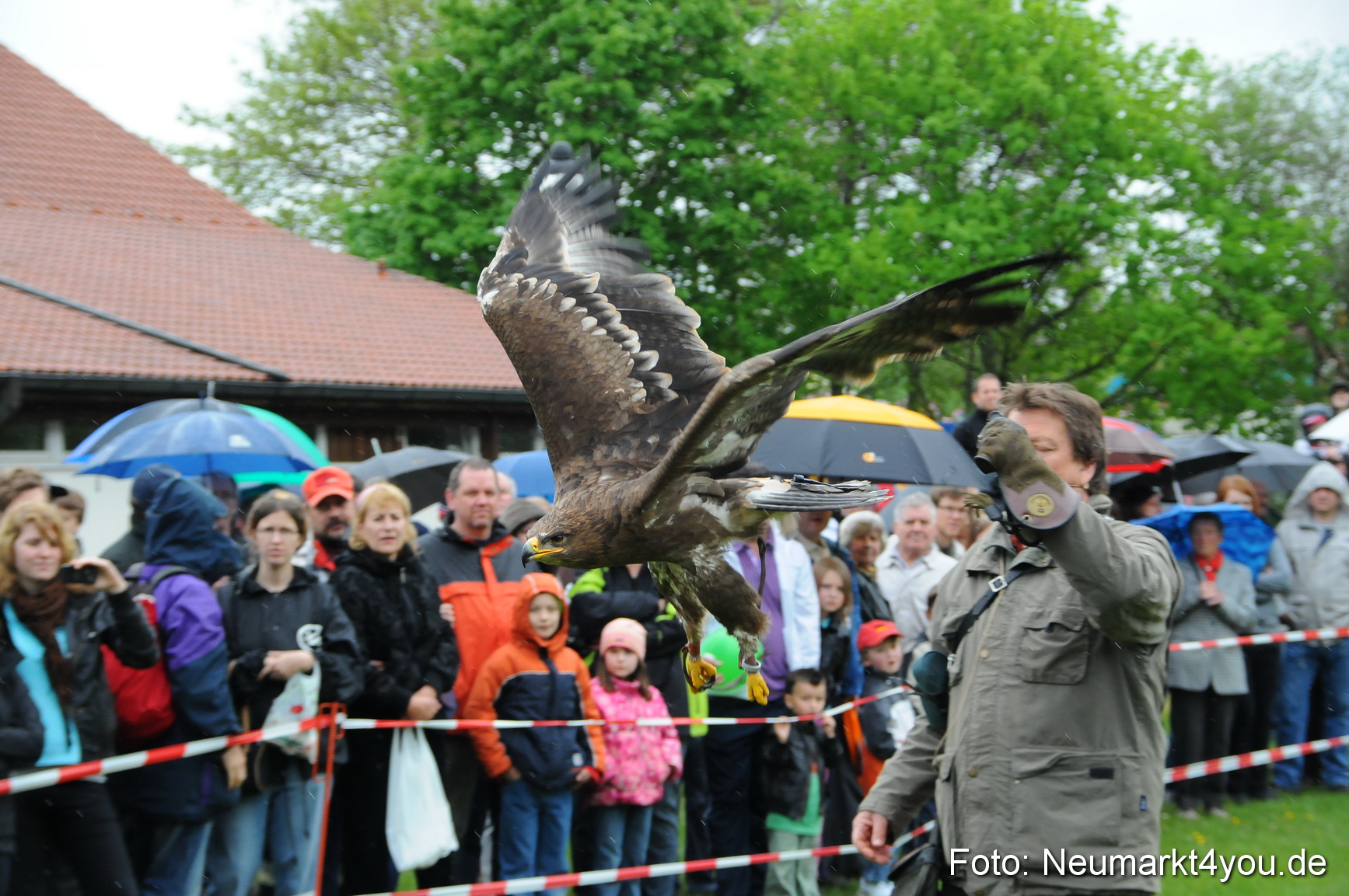 Eselrennen Neumarkt 020510 0147