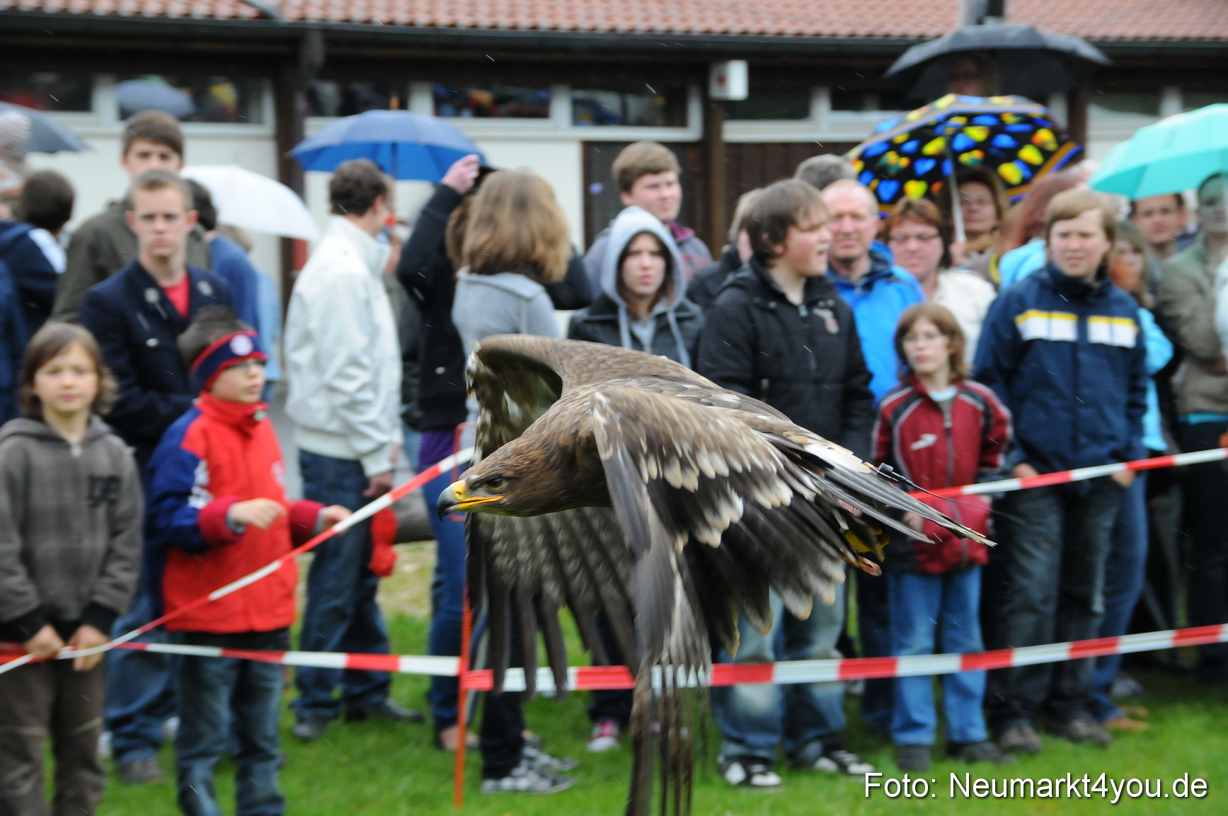 Eselrennen Neumarkt 020510 0148