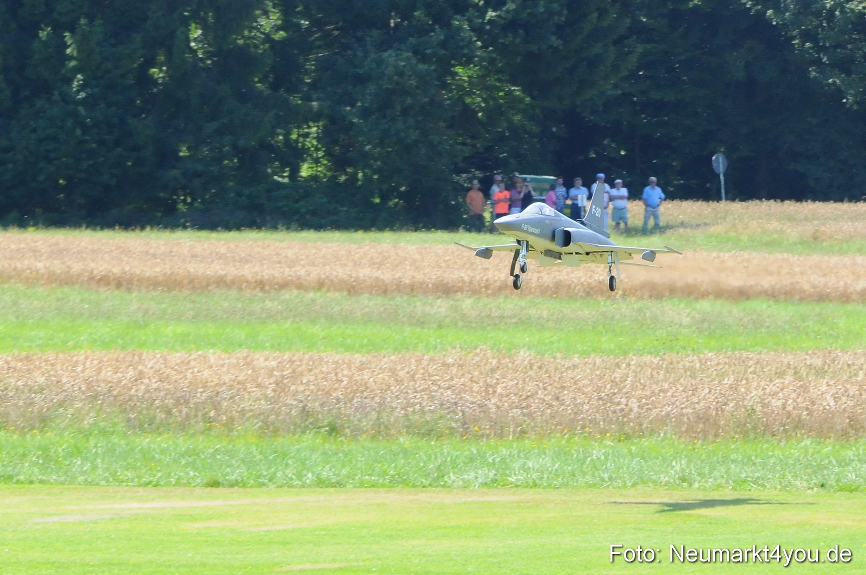 Grossflugmodelle Hemau 010810 0003