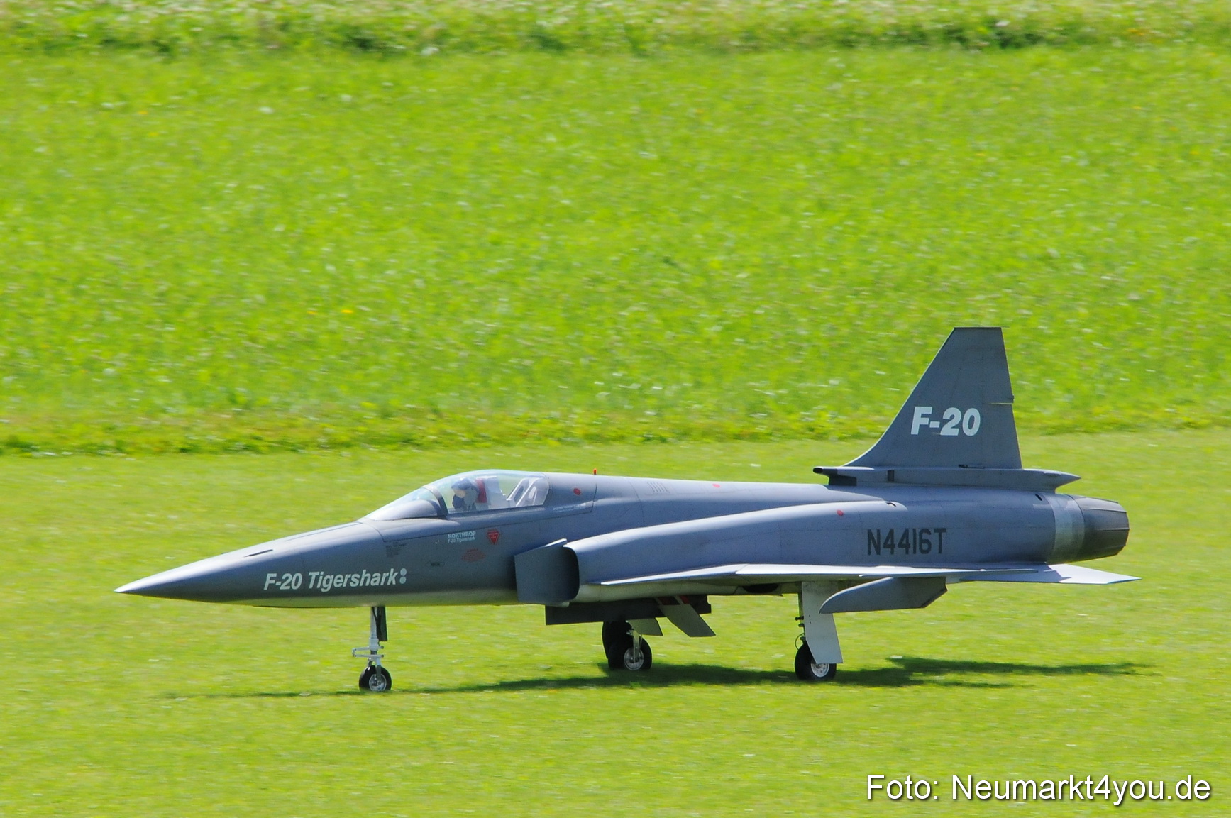 Grossflugmodelle Hemau 010810 0004