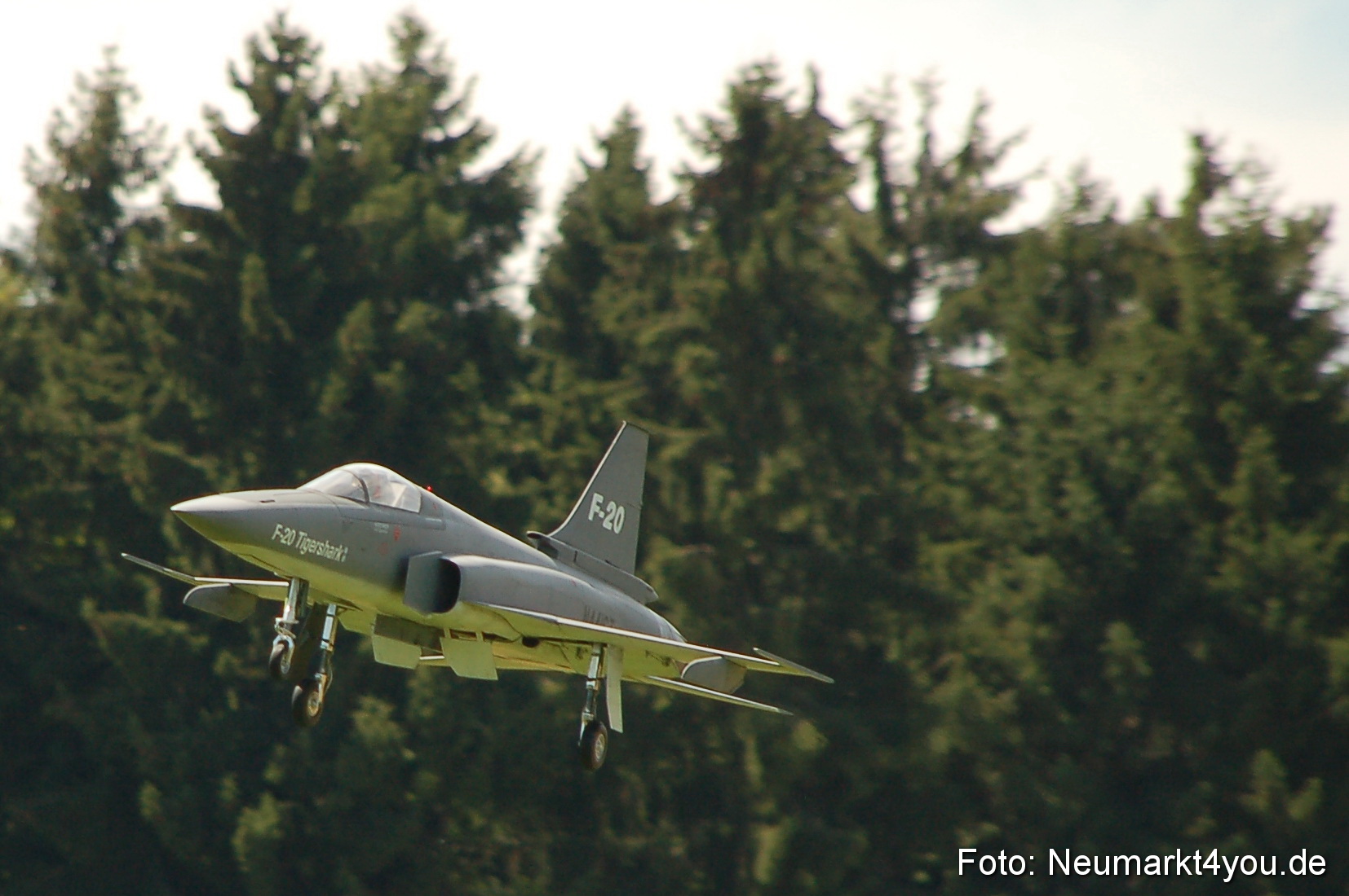 Grossflugmodelle Hemau 010810 0005