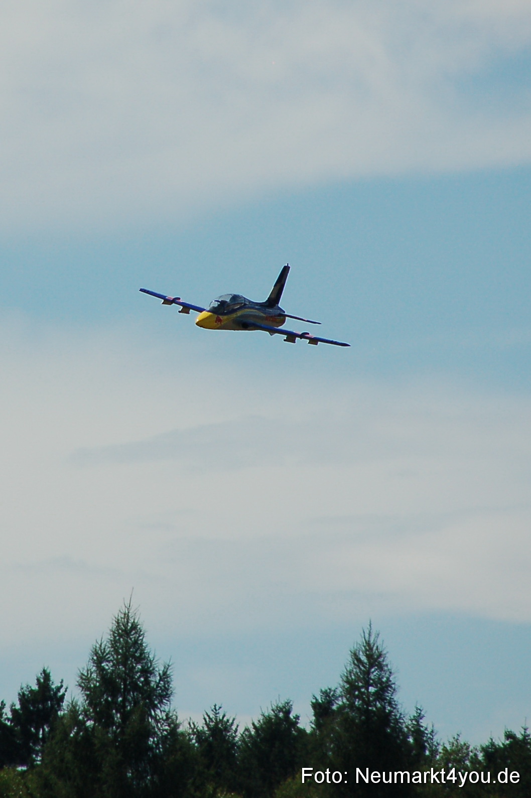 Grossflugmodelle Hemau 010810 0050