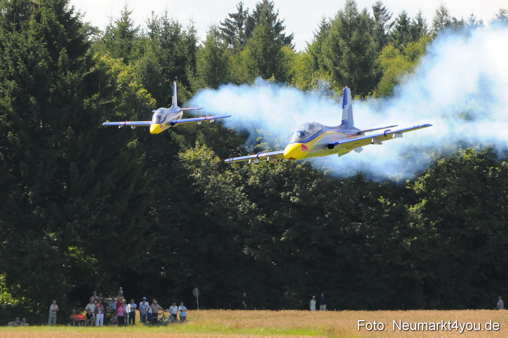 Grossflugmodelle Hemau 010810 0063