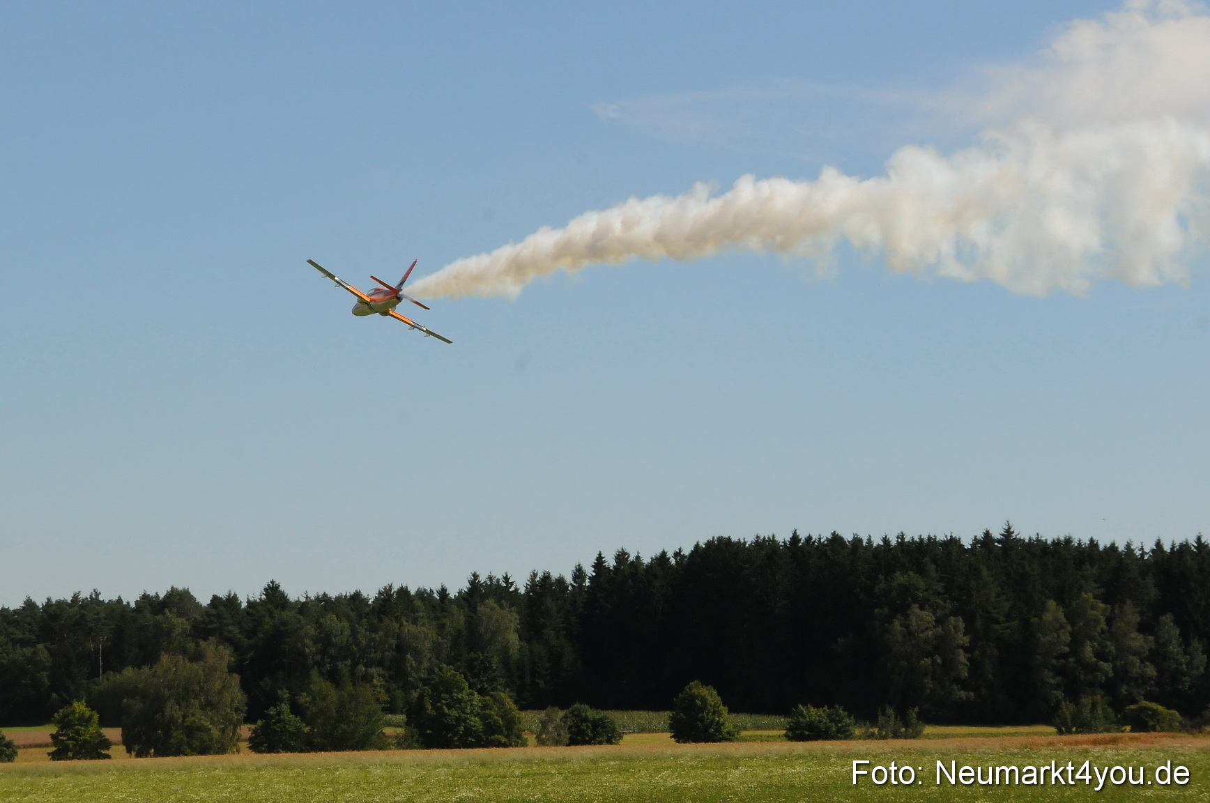 Grossflugmodelle Hemau 010810 0117