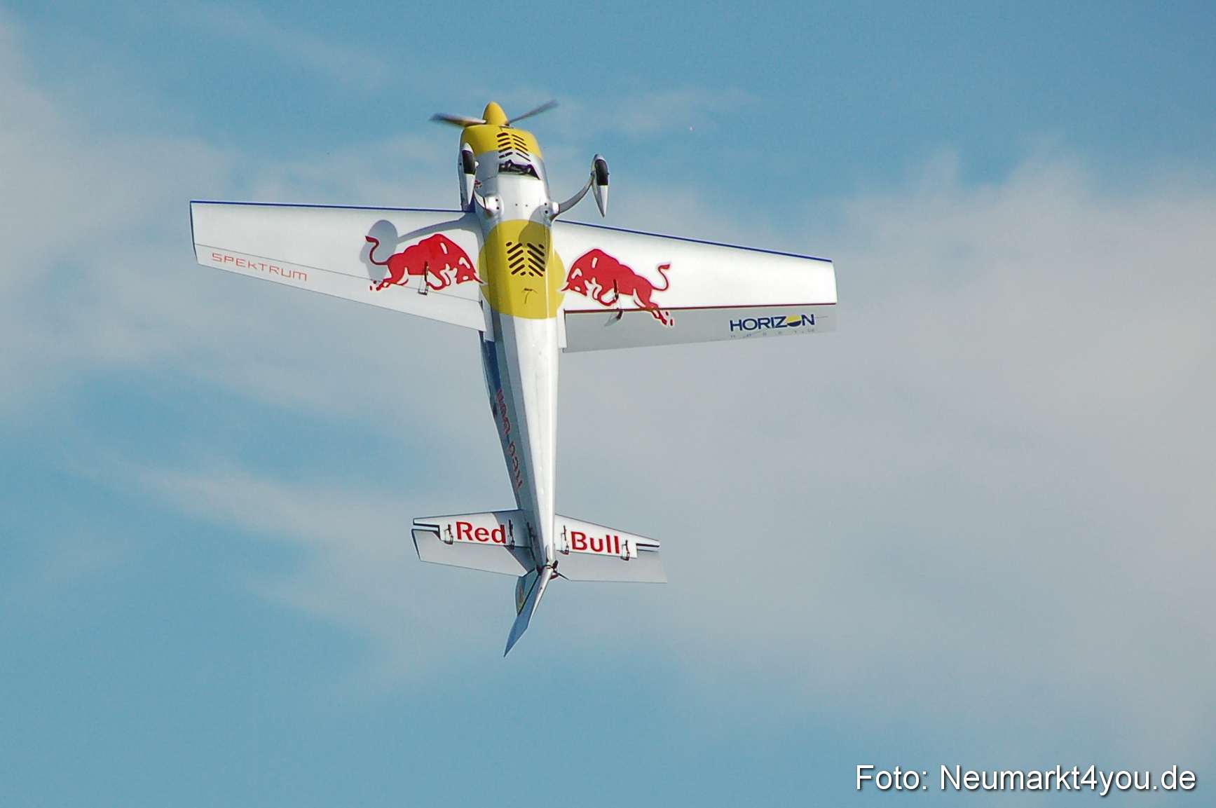 Grossflugmodelle Hemau 010810 0180