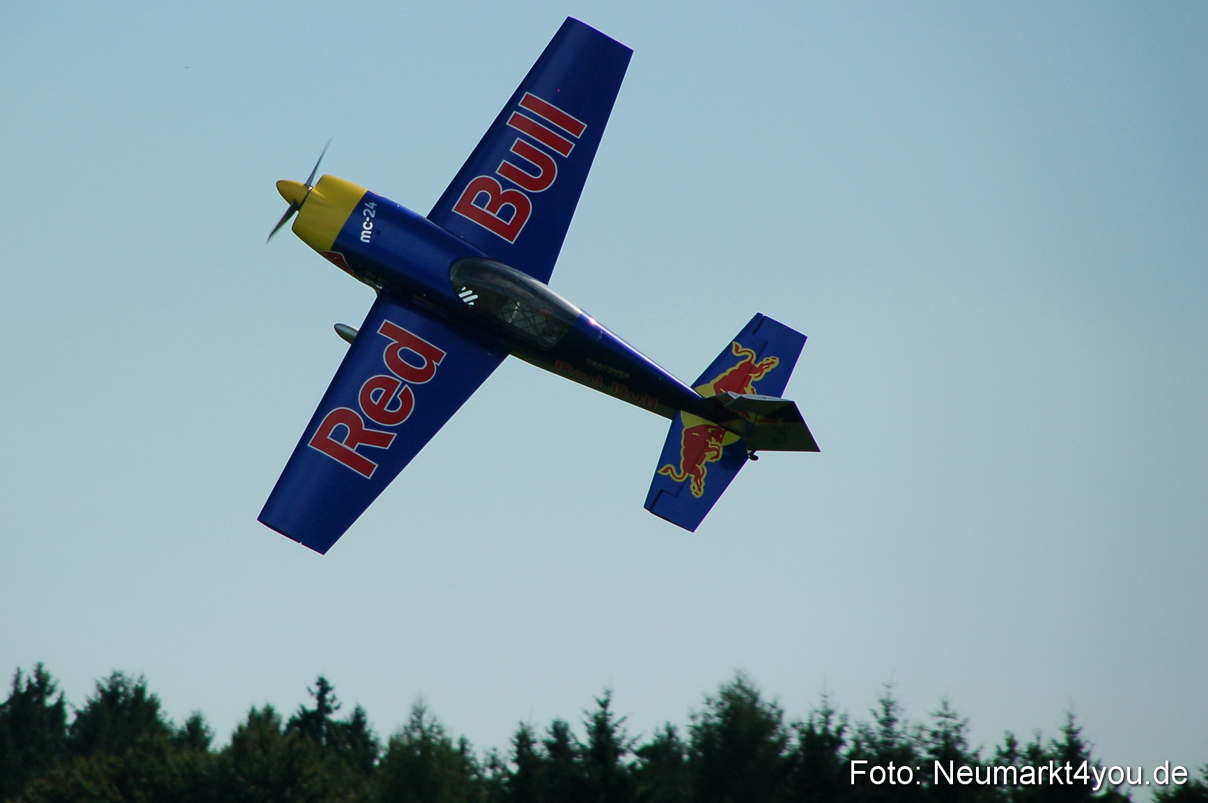 Grossflugmodelle Hemau 010810 0195