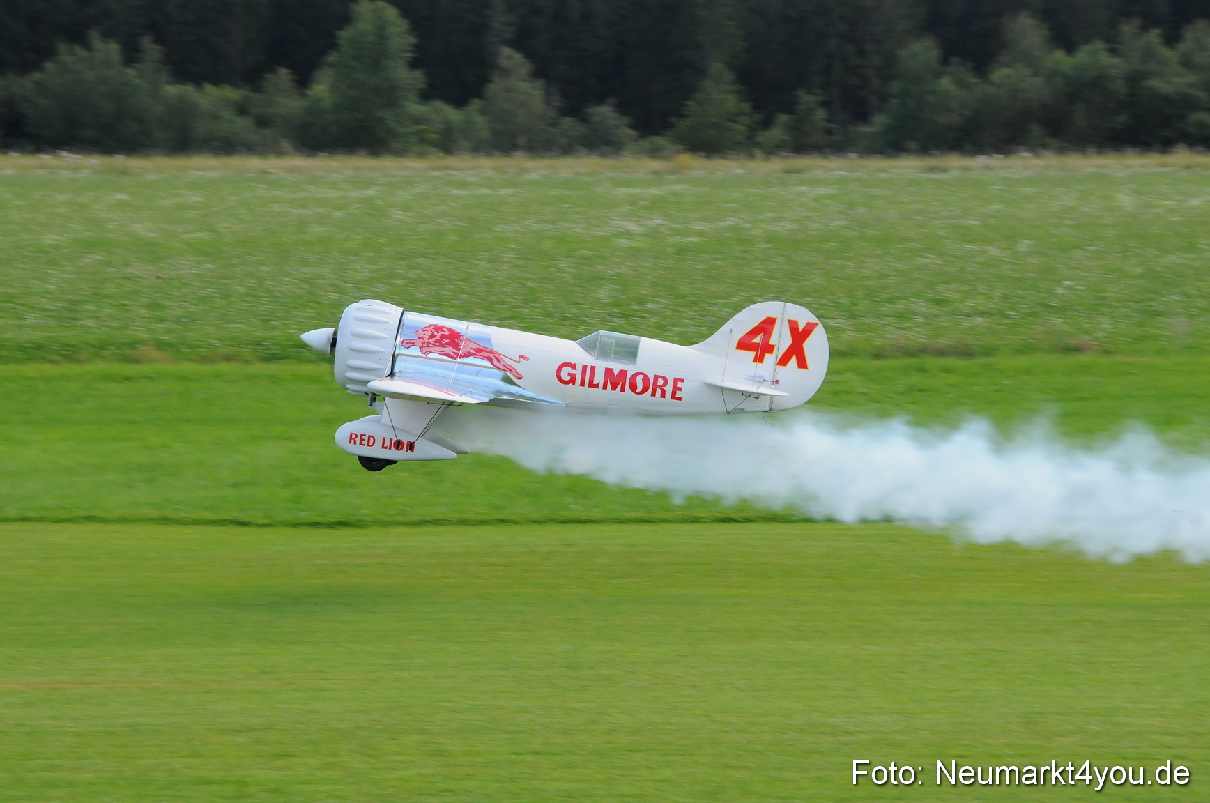 Grossflugmodelle Hemau 010810 0198