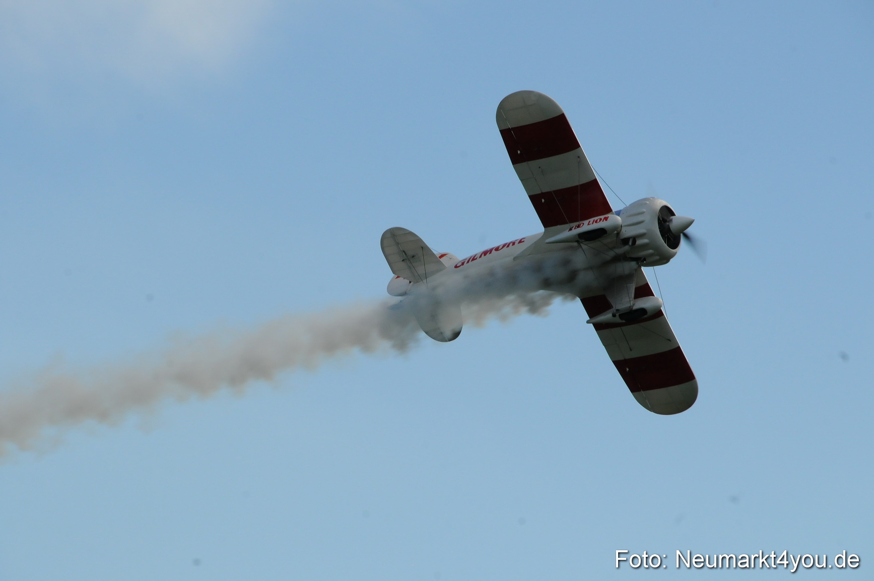 Grossflugmodelle Hemau 010810 0200