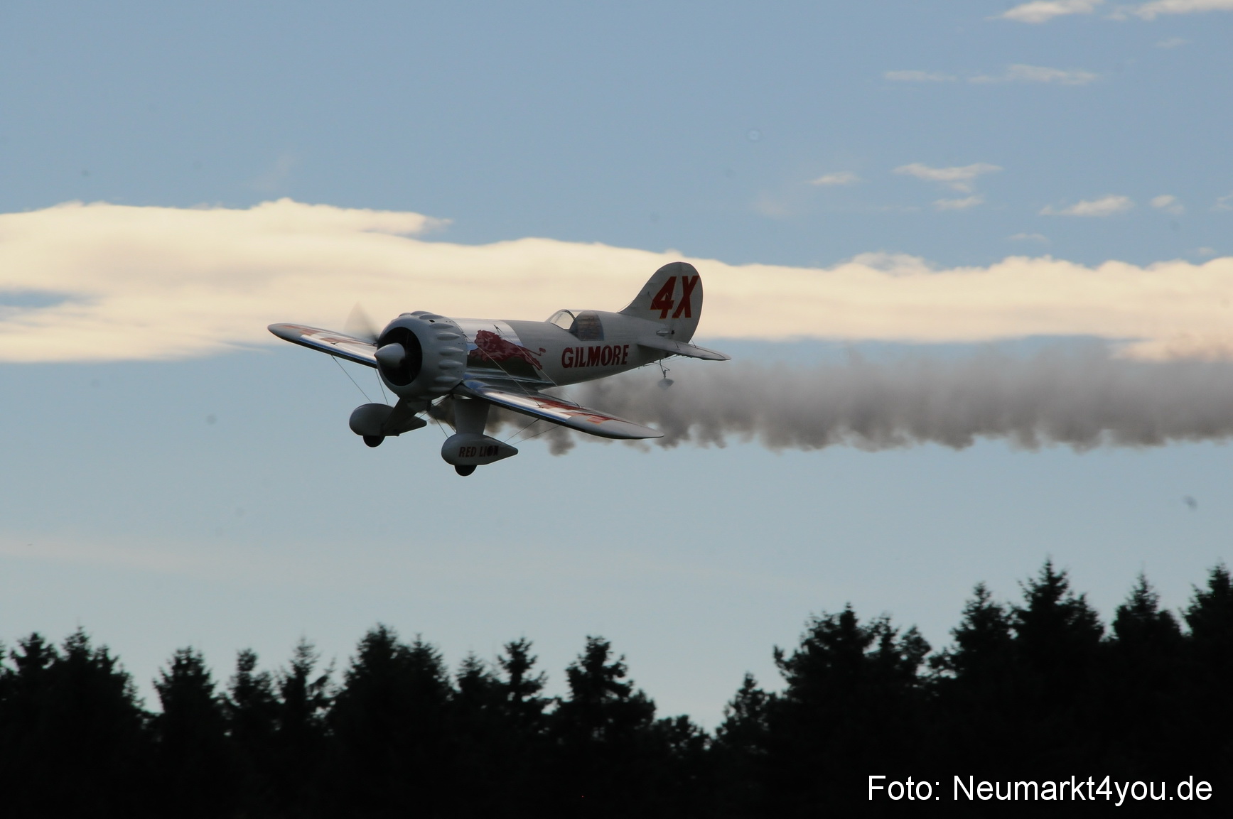 Grossflugmodelle Hemau 010810 0202