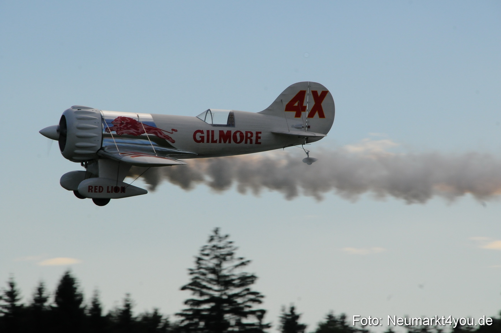 Grossflugmodelle Hemau 010810 0203