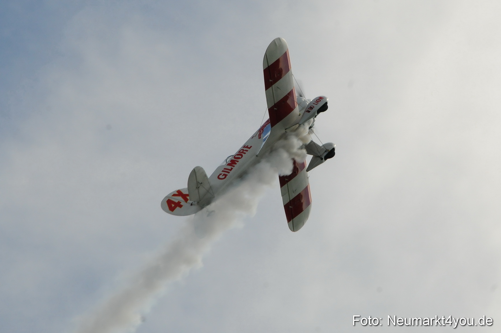 Grossflugmodelle Hemau 010810 0215