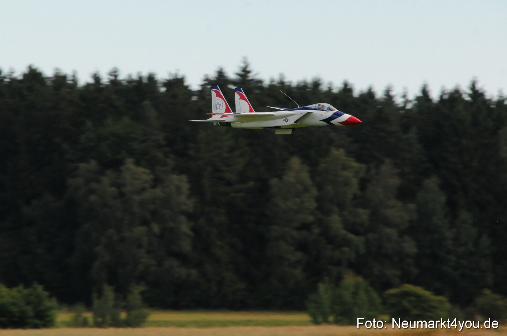 Grossflugmodelle Hemau 010810 0222