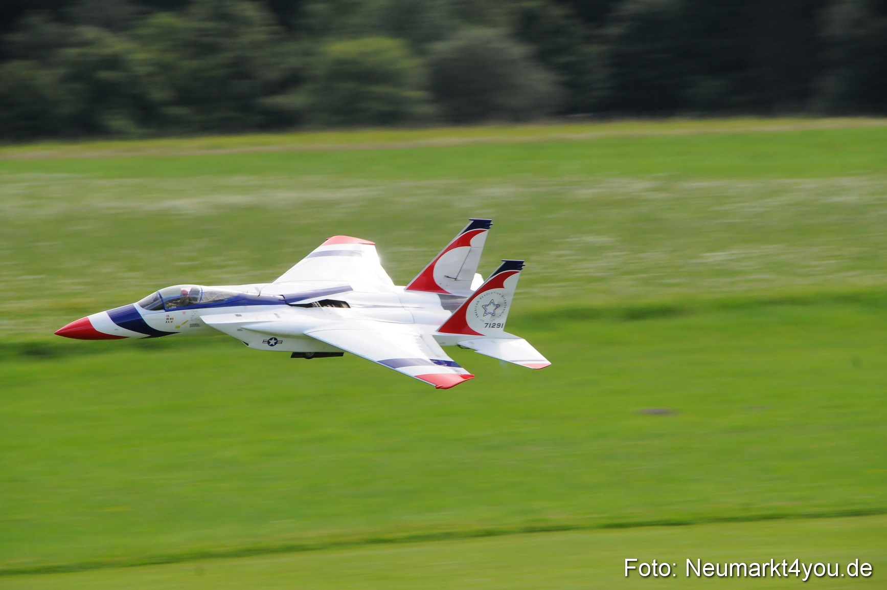 Grossflugmodelle Hemau 010810 0223